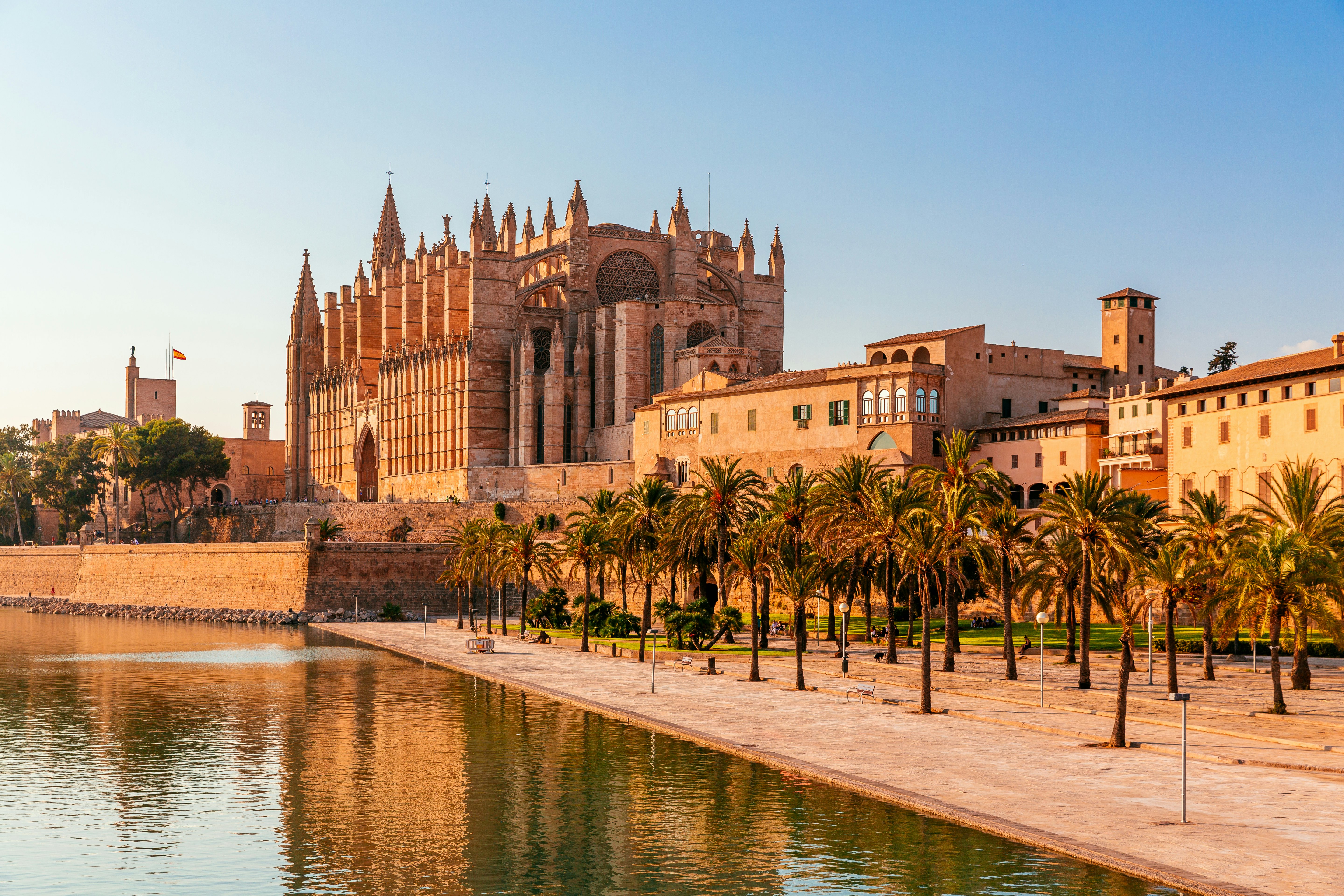 A view of an ornate Gothic cathedral and a square lined with palm trees and next to a basin of water in the early-morning light.