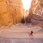 A person walking along a switchback trail in Bryce Canyon National Park, Utah