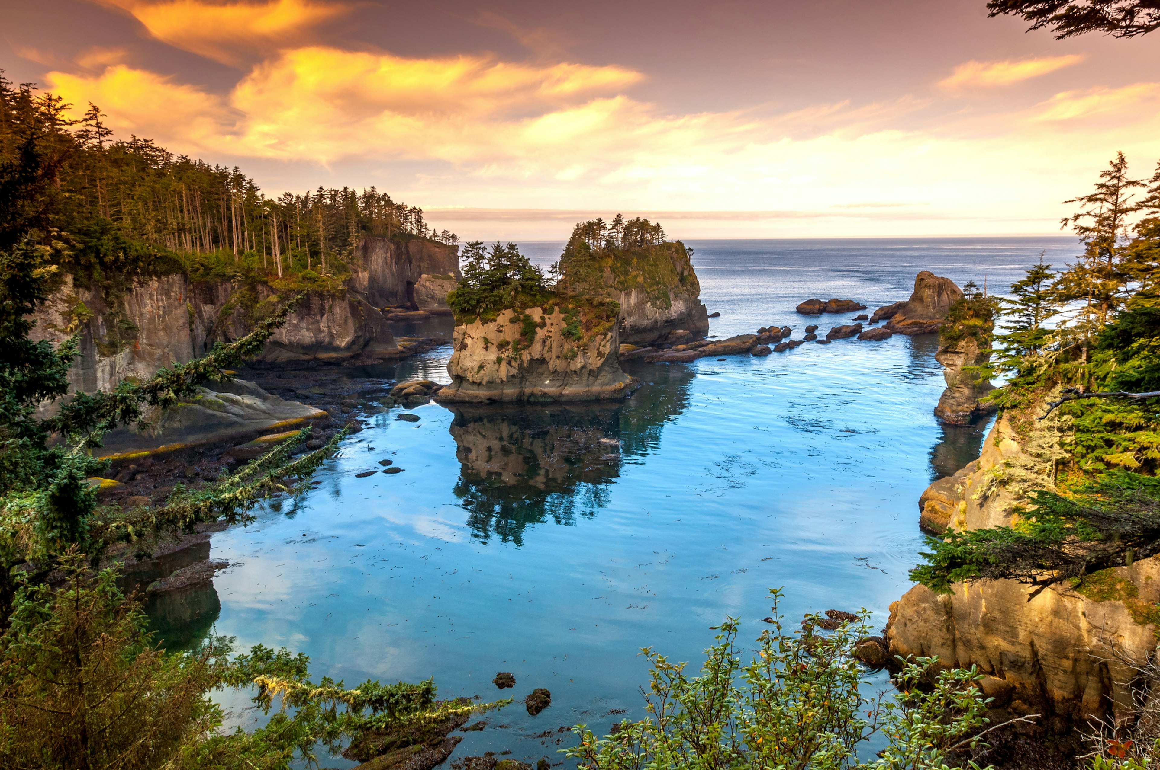 A dramatic rocky coastline lined with dense forest