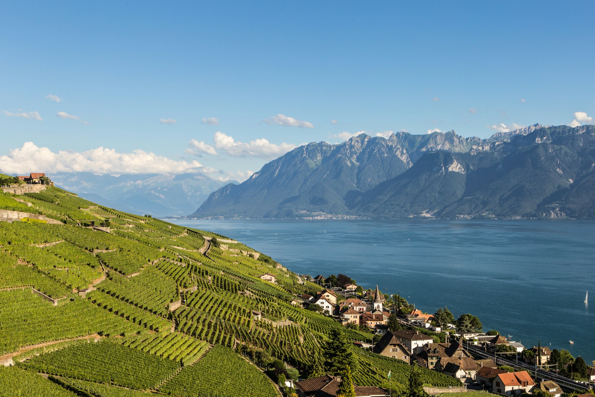 Vineyards in the Lavaux region near Lake Geneva, Switzerland