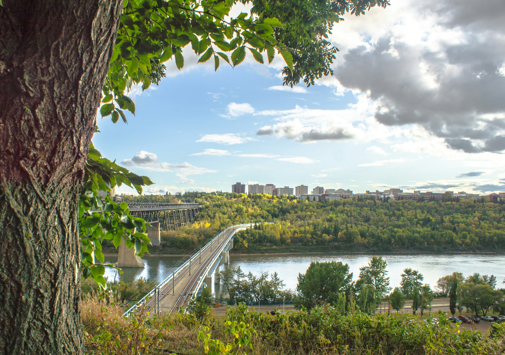 An afternoon view of the North Saskatchewan river valley and downtown Edmonton, the capital of Alberta province. Also visible is the train bride connecting the east and west sides of the city. It is the beginning of Autumn and the leaves have just started turning yellow, orange and red.