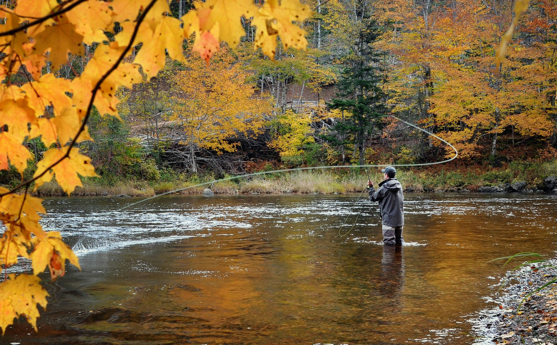 A man fly fishes in a creek in Nova Scotia in autumn
