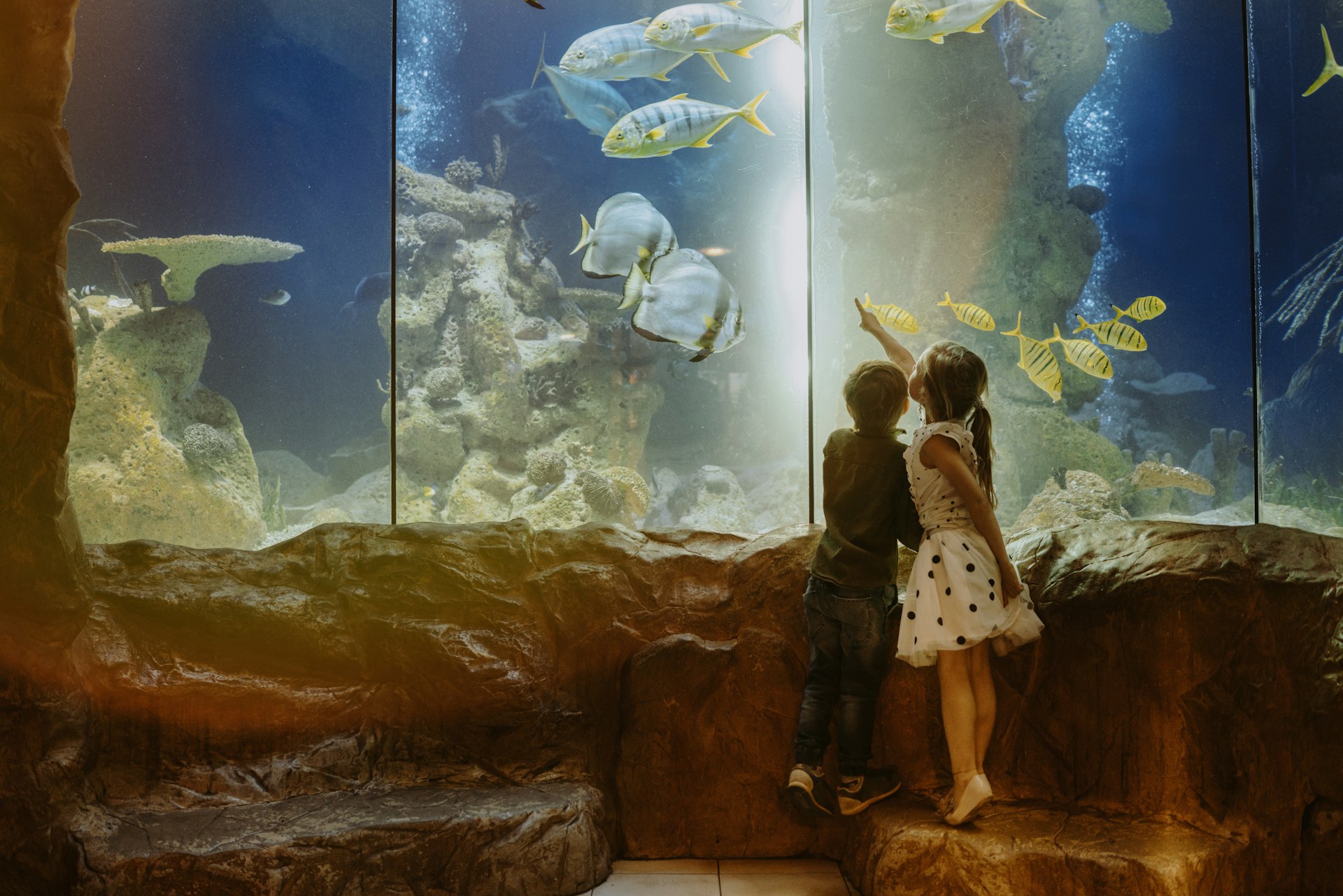 Two young children are looking at colorful fish in an aquarium at Haus des Meeres in Vienna, Austria