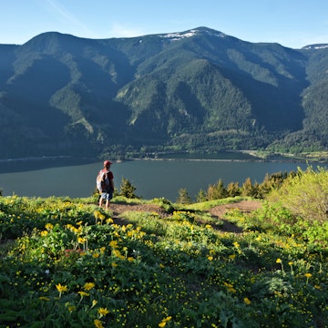 Hiker overlooking the Columbia River from the Dog Mountain Trail in the Columbia River Gorge National Scenic Area.