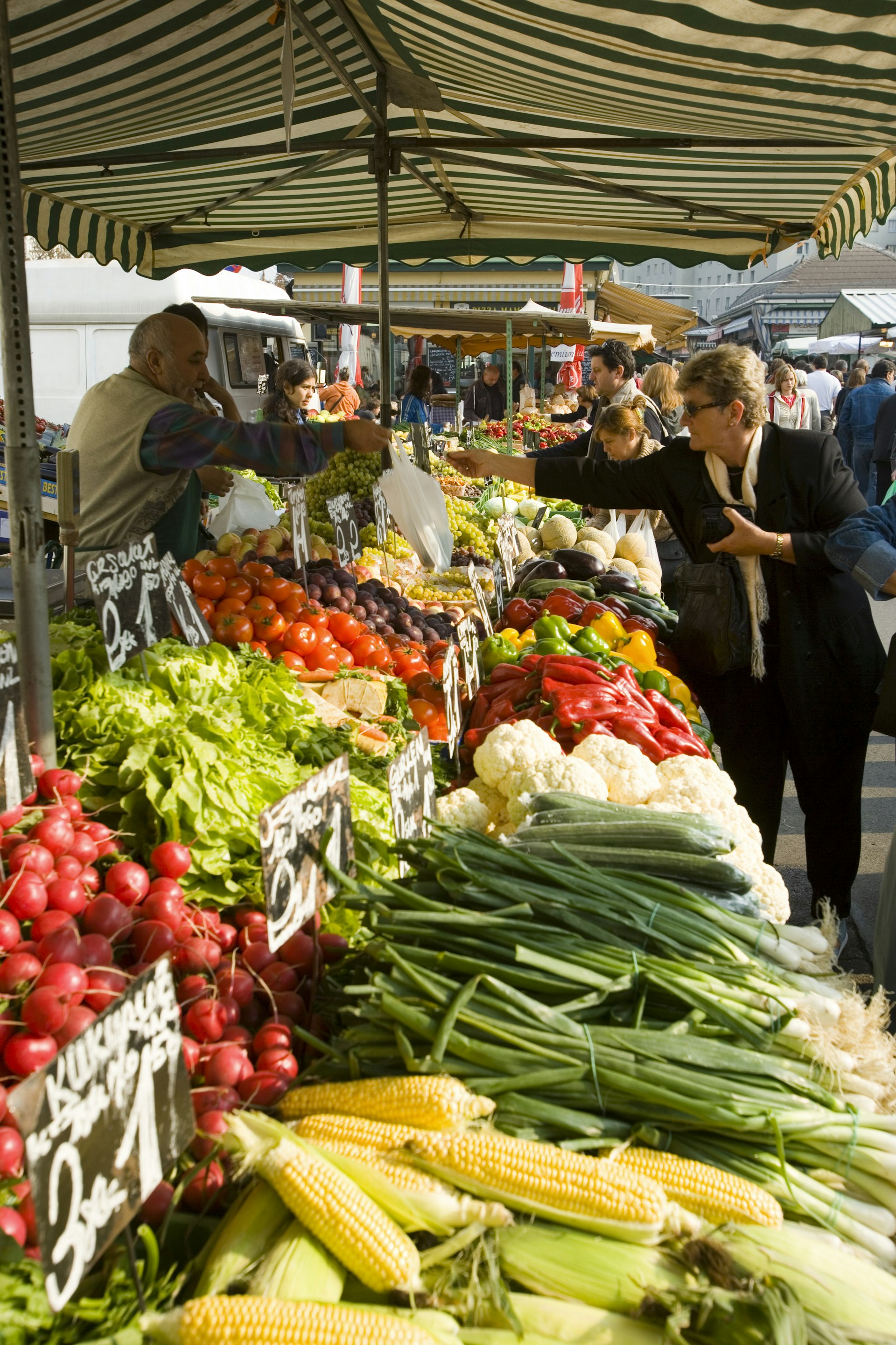 A woman is paying for produce at a market stall, which is laden with a huge variety of fresh vegetables, such as corn cobs, radishes and lettuce.
