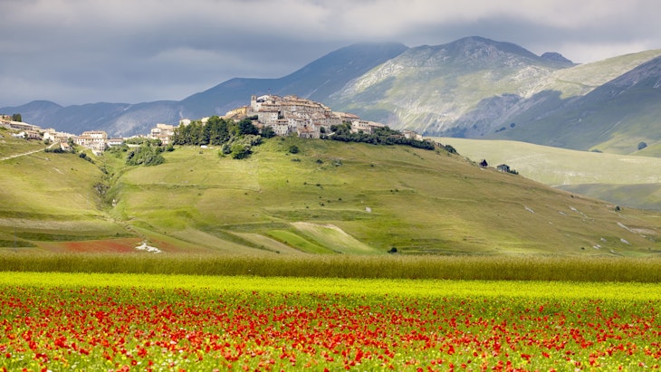 Italy - Tuscany and Umbria Great escape July 2014....Casteluccio- hill top town known for its lentils
Italy - Tuscany and Umbria Great escape July 2014..Casteluccio- hill top town known for its lentils
Contributor, LP Owned, Countryside, Field, Grassland, Landscape, Meadow, Mountain, Mountain Range, Nature, Outdoors, Plateau, Rural, Scenery
