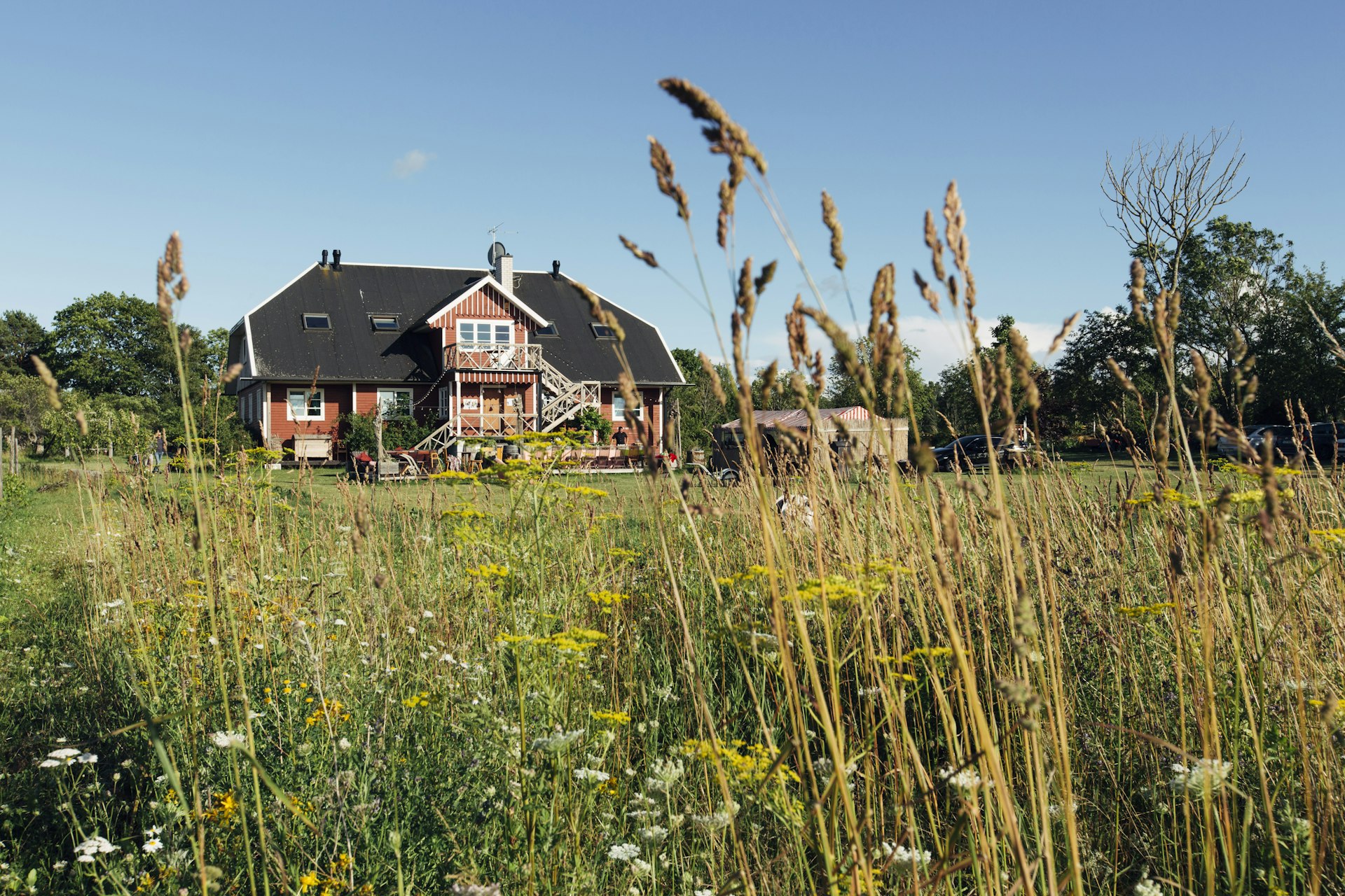 A beautiful farmhouse sits in the background of a lush field in Estonia. 