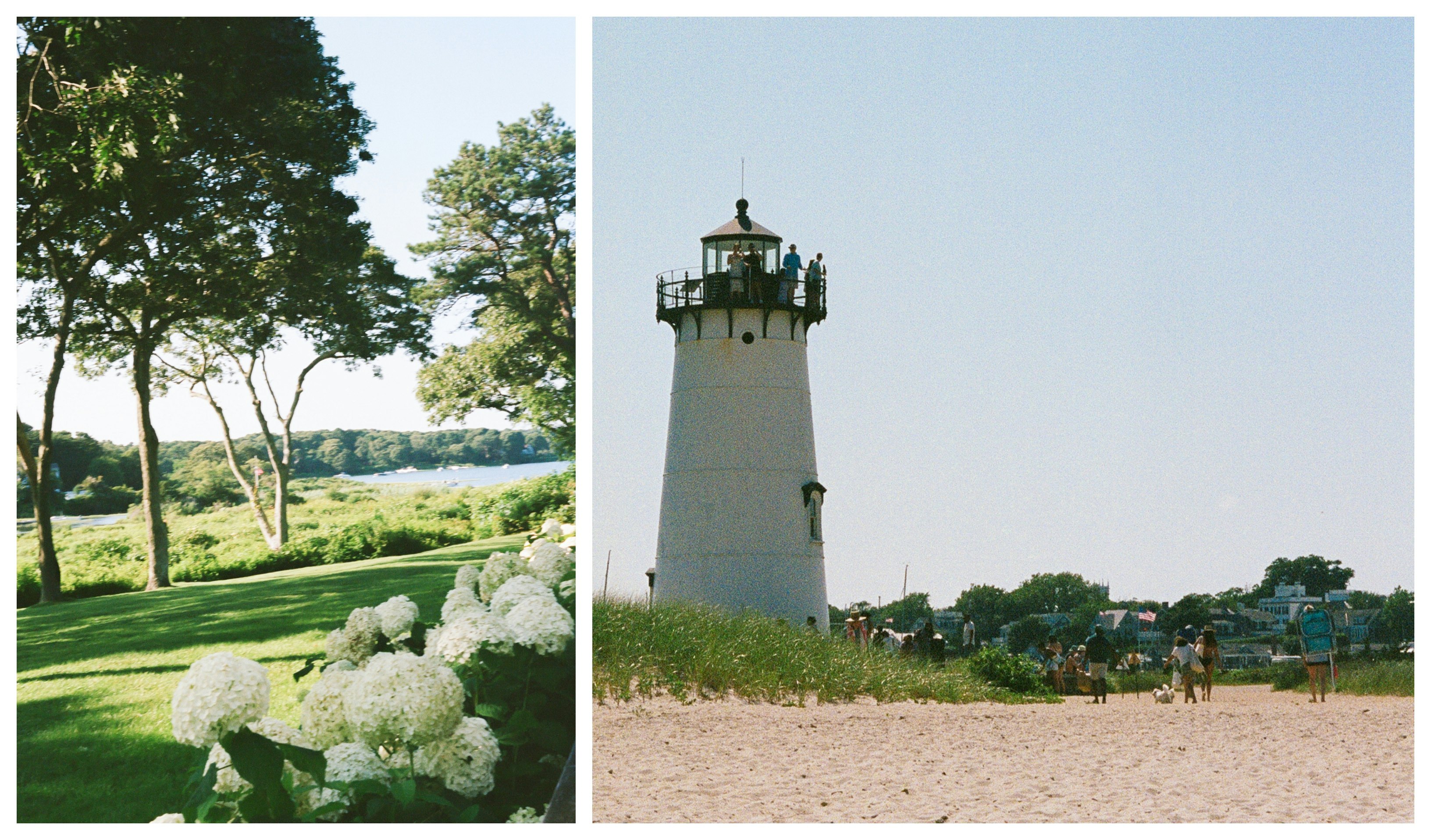 Collage of images from Martha's Vineyard - L: hydrangeas and a grassy lawn, R: Lighthouse Beach