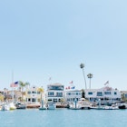 Homes on Newport Harbor
