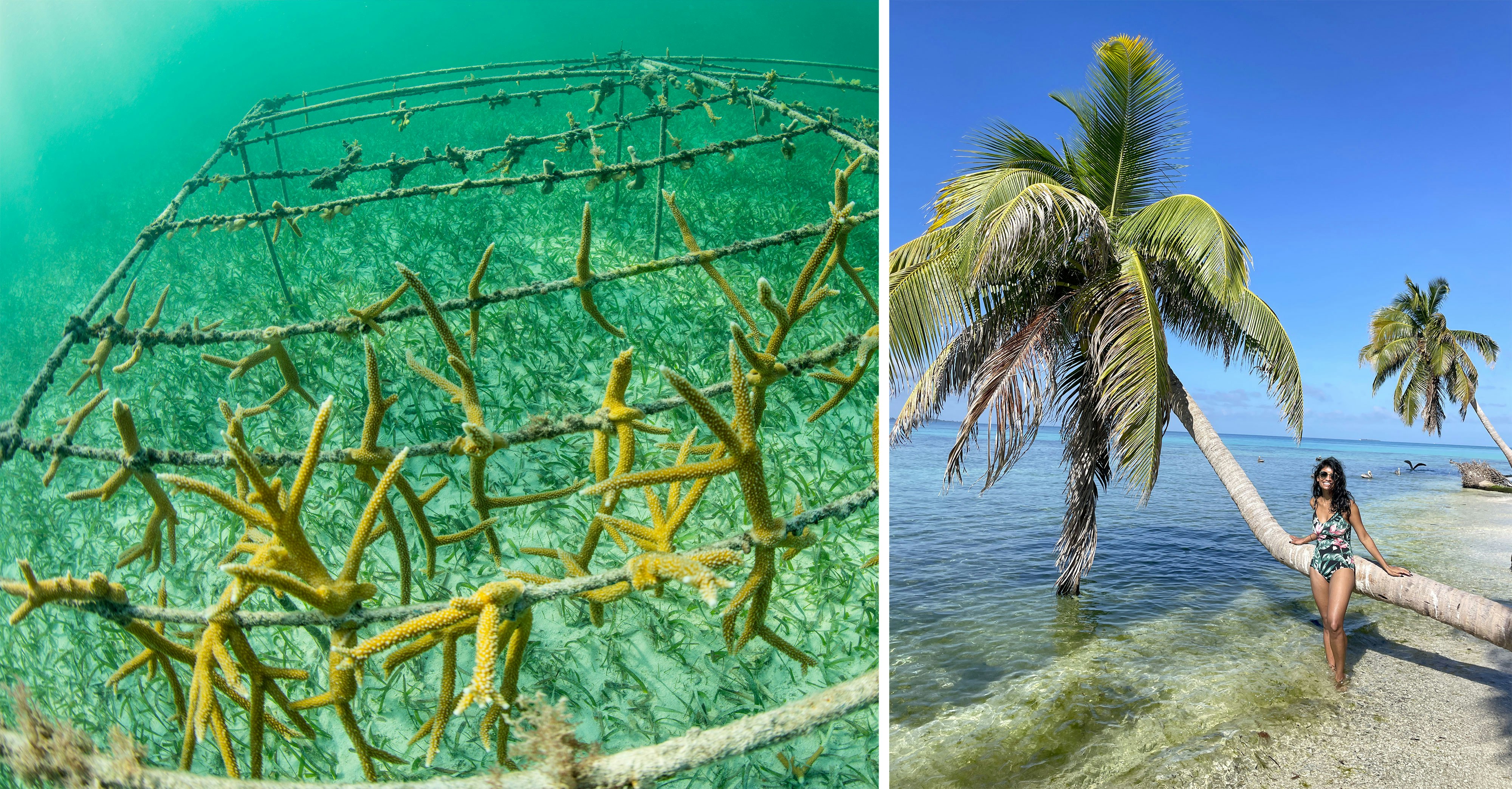 Left: coral regrowth project with strands of coral on an artificial frame underwater; Right: woman in a bikini on a beach