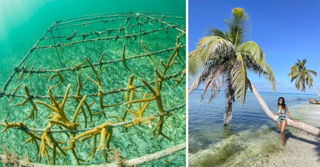 Left: coral regrowth project with strands of coral on an artificial frame underwater; Right: woman in a bikini on a beach