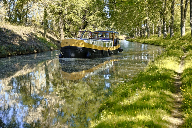 Flat boat navigating a Tree lined bend on the Canal du Midi in south of France. The sycamores perfectly reflected in water