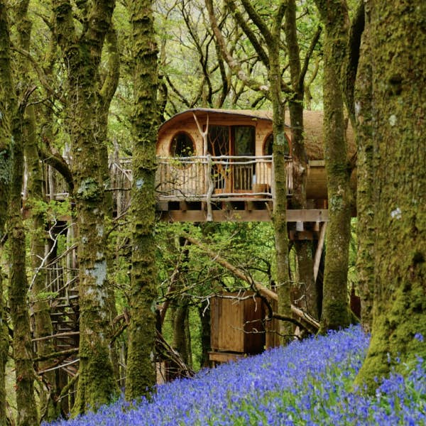 A treehouse in Wales