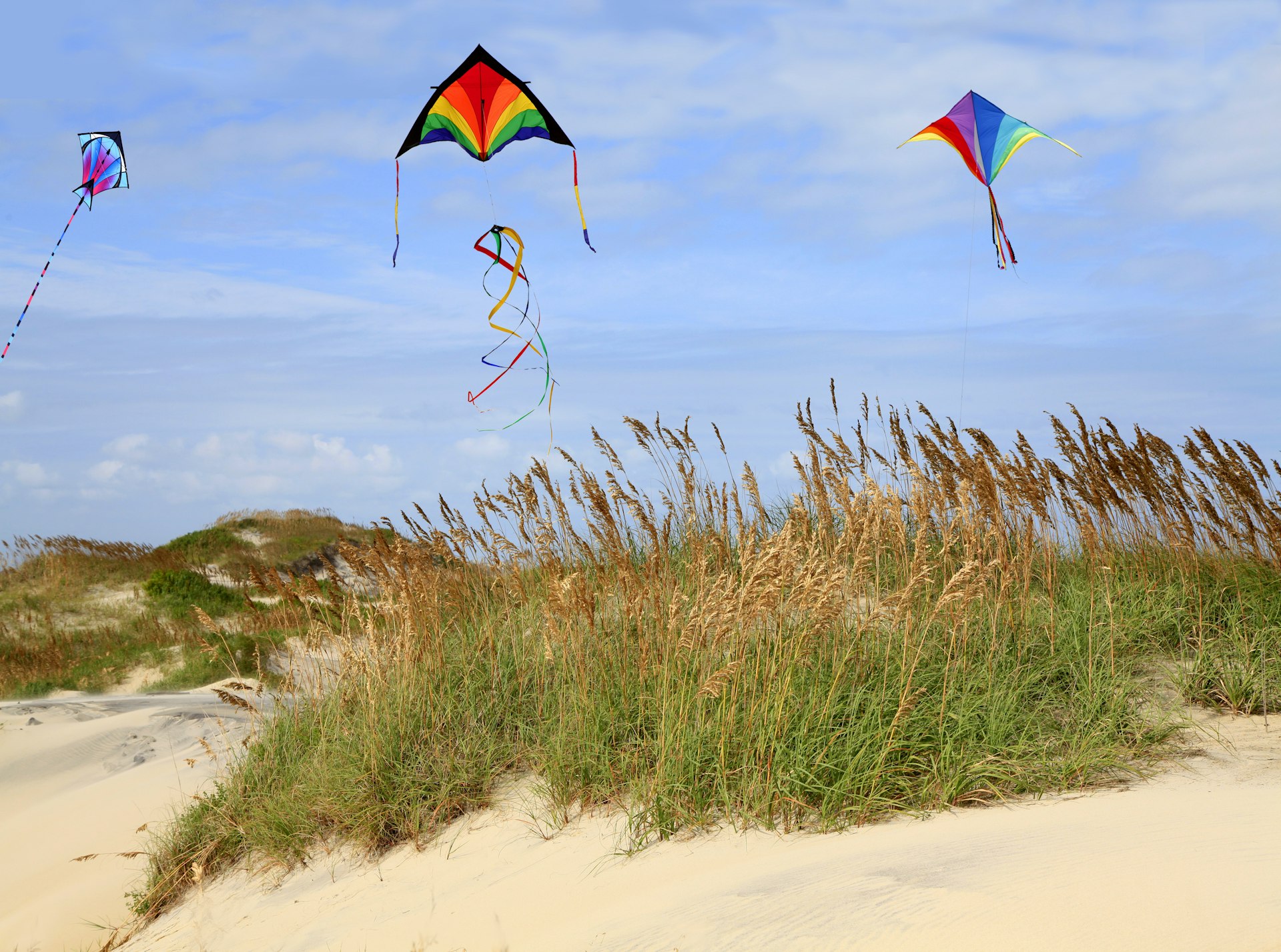 Three brightly colored kits fly above sandy dunes covered in grass 