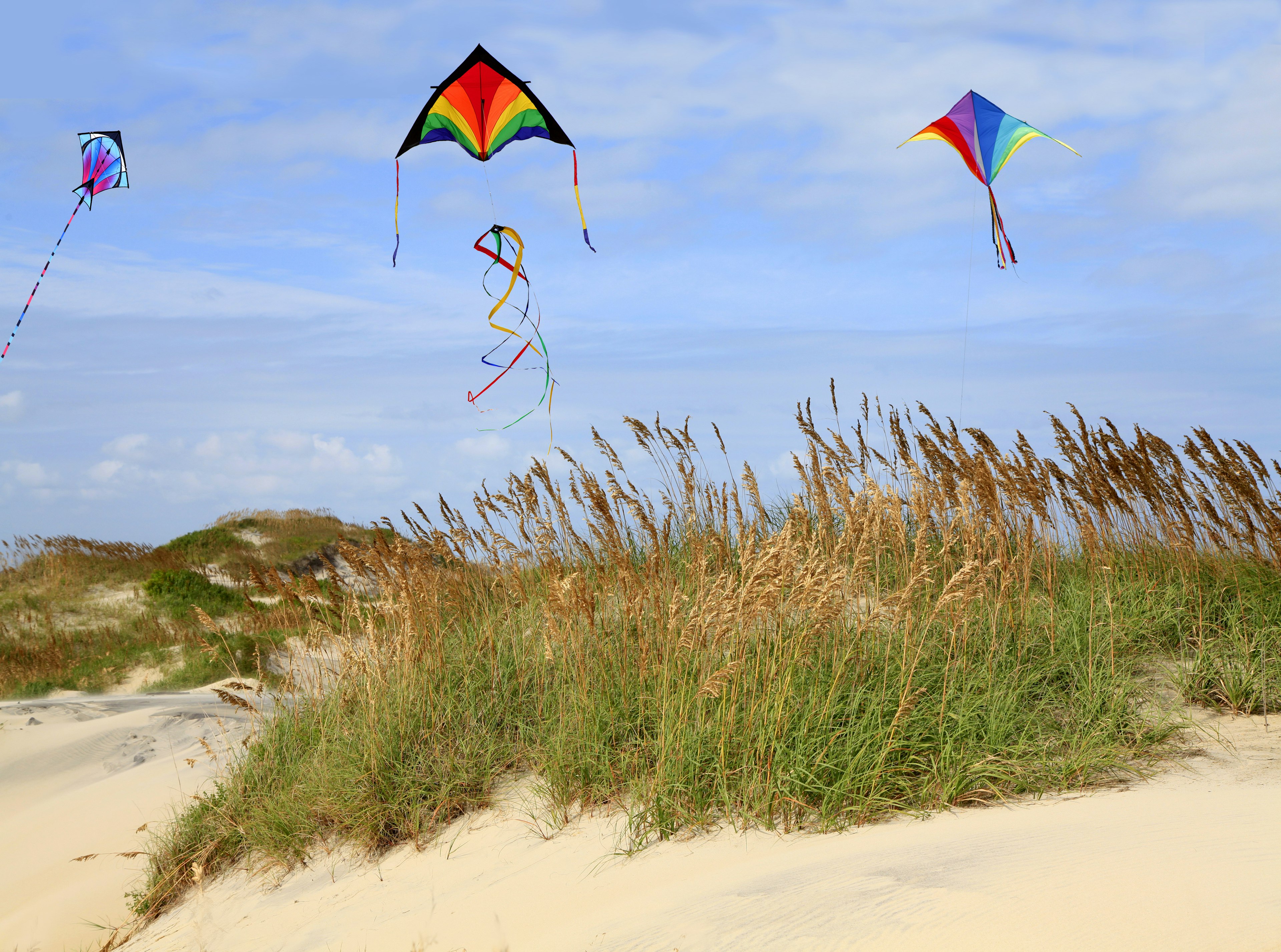 Three brightly colored kits fly above sandy dunes covered in grass