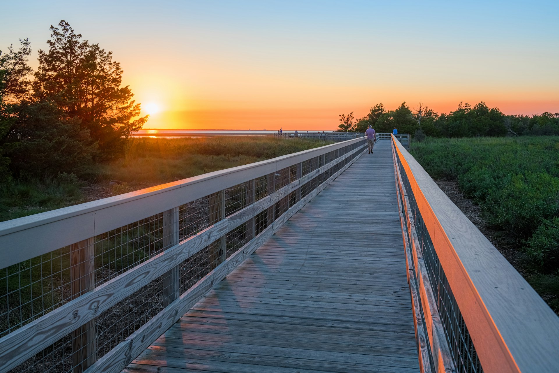 A wooden footbrdge at dusk in the Sandy Hook National Recreation Area along the Jersey shore