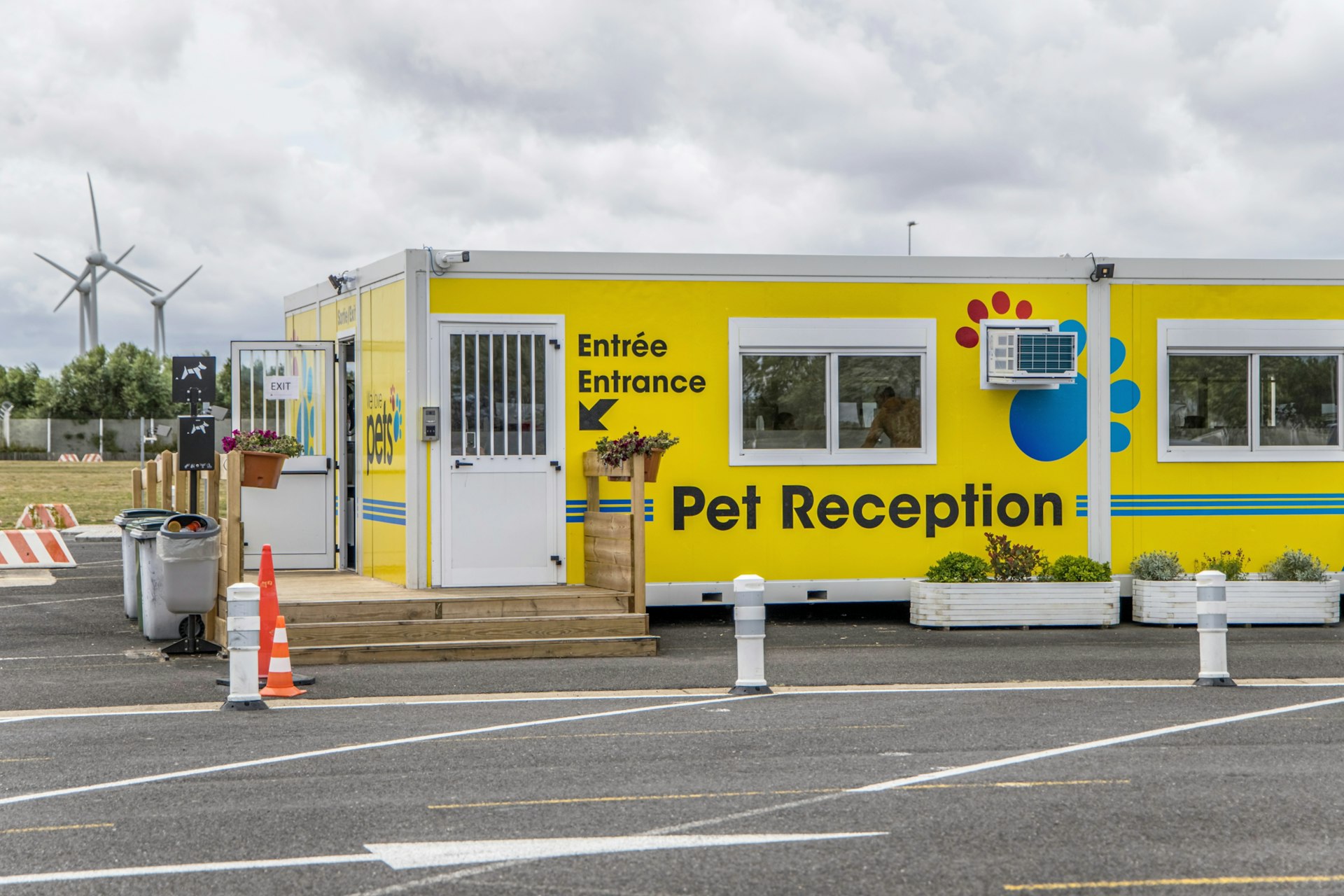 Um portacabin amarelo brilhante rotulado como "Recepção para animais de estimação", com alguns degraus que levam até a entrada