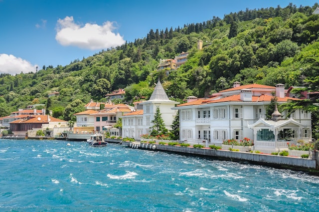 .Coast of the Princes' Islands. Turkey. Bosphorus. A bright sunny day, drowning in the greenery of the birch,  sea, small houses on the shore
737592679
azure, blooming, bosporus, climate, cottages, excursion, green, island, istanbul, lovely, lush, princes' islands, shore, strait, sunny warm, travel, turkey, turquoise, vacation, vegetation, water, weekend