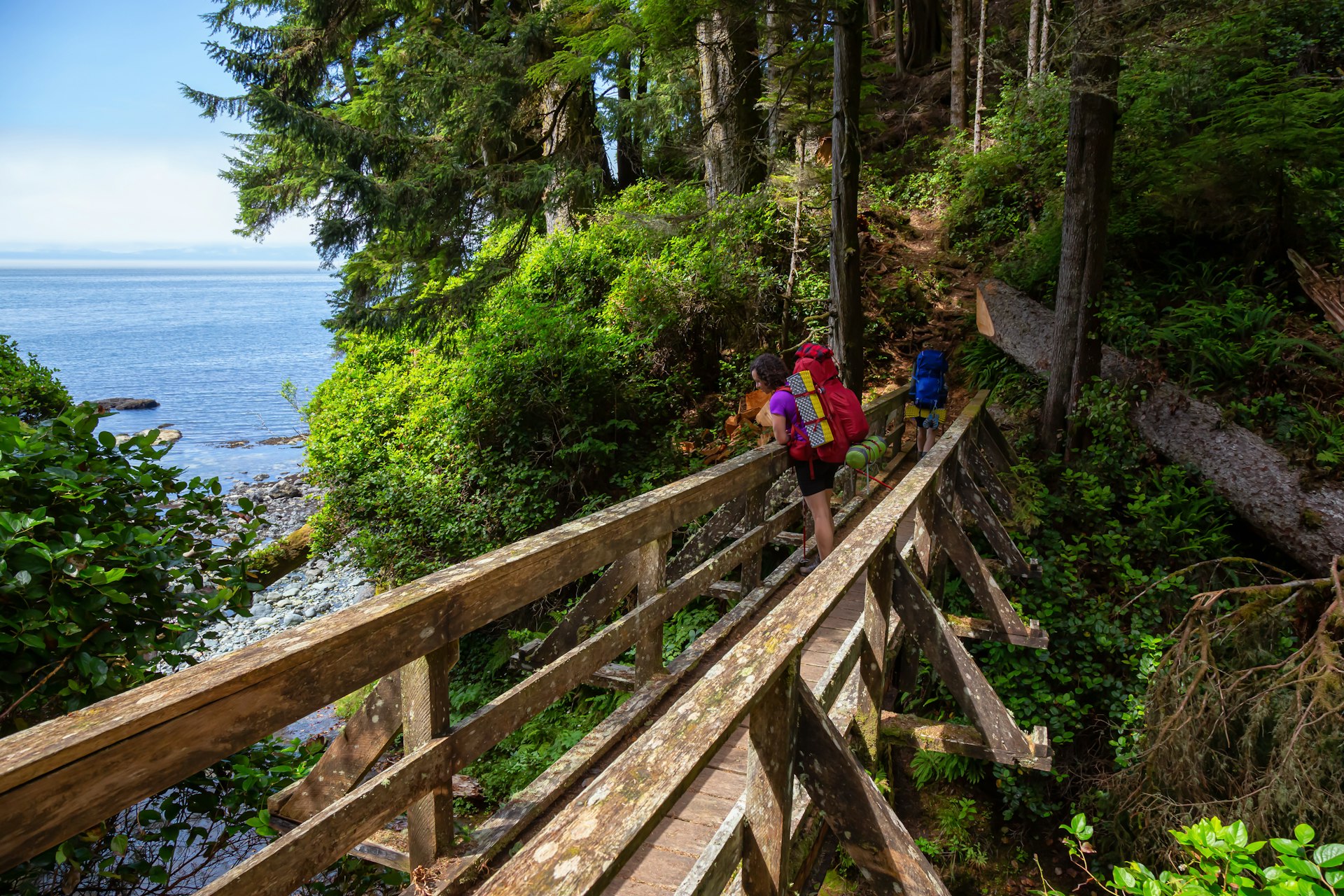 Two hikers are crossing a wooden bridge in a forested area along the Juan de Fuca Trail on Vancouver Island