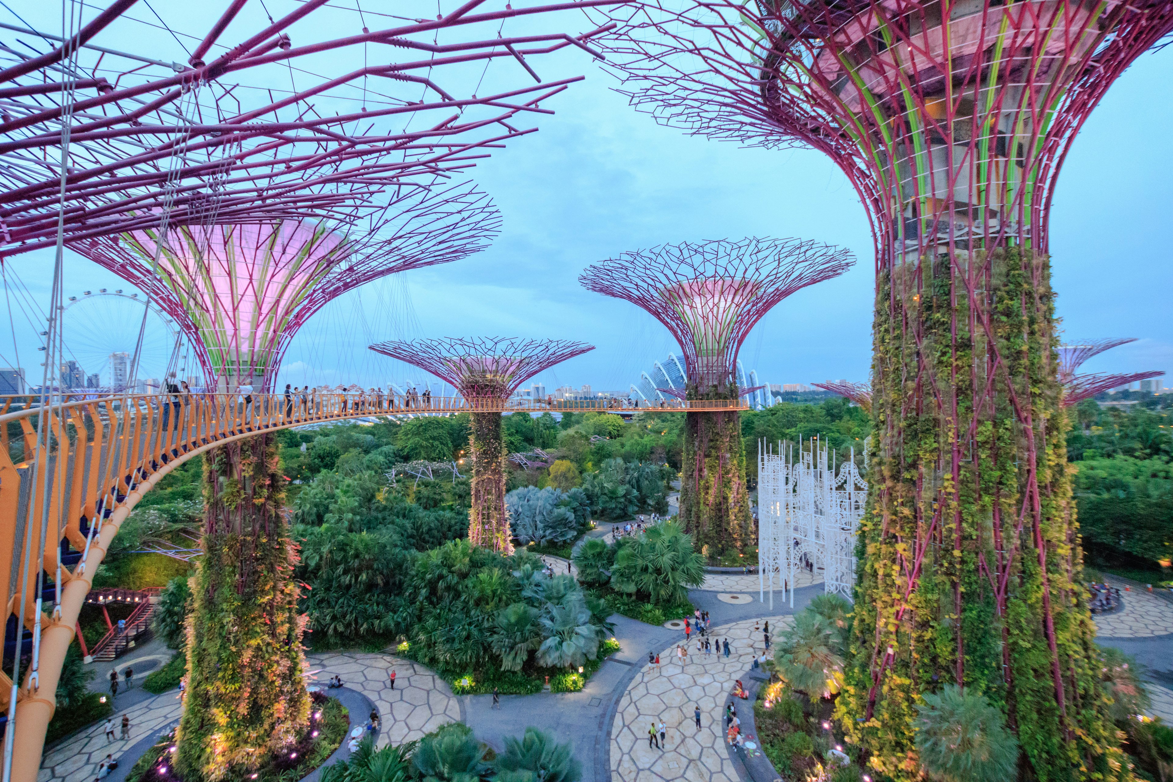 A series of artificial trees rise up above a walkway