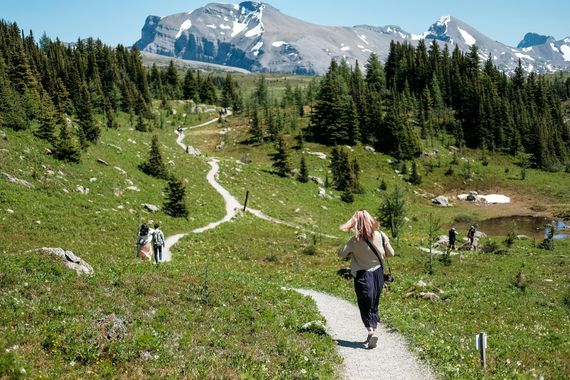 Several people are walking along clearly marked paths through a grassy clearing in a mountainous landscape dotted with evergreen trees