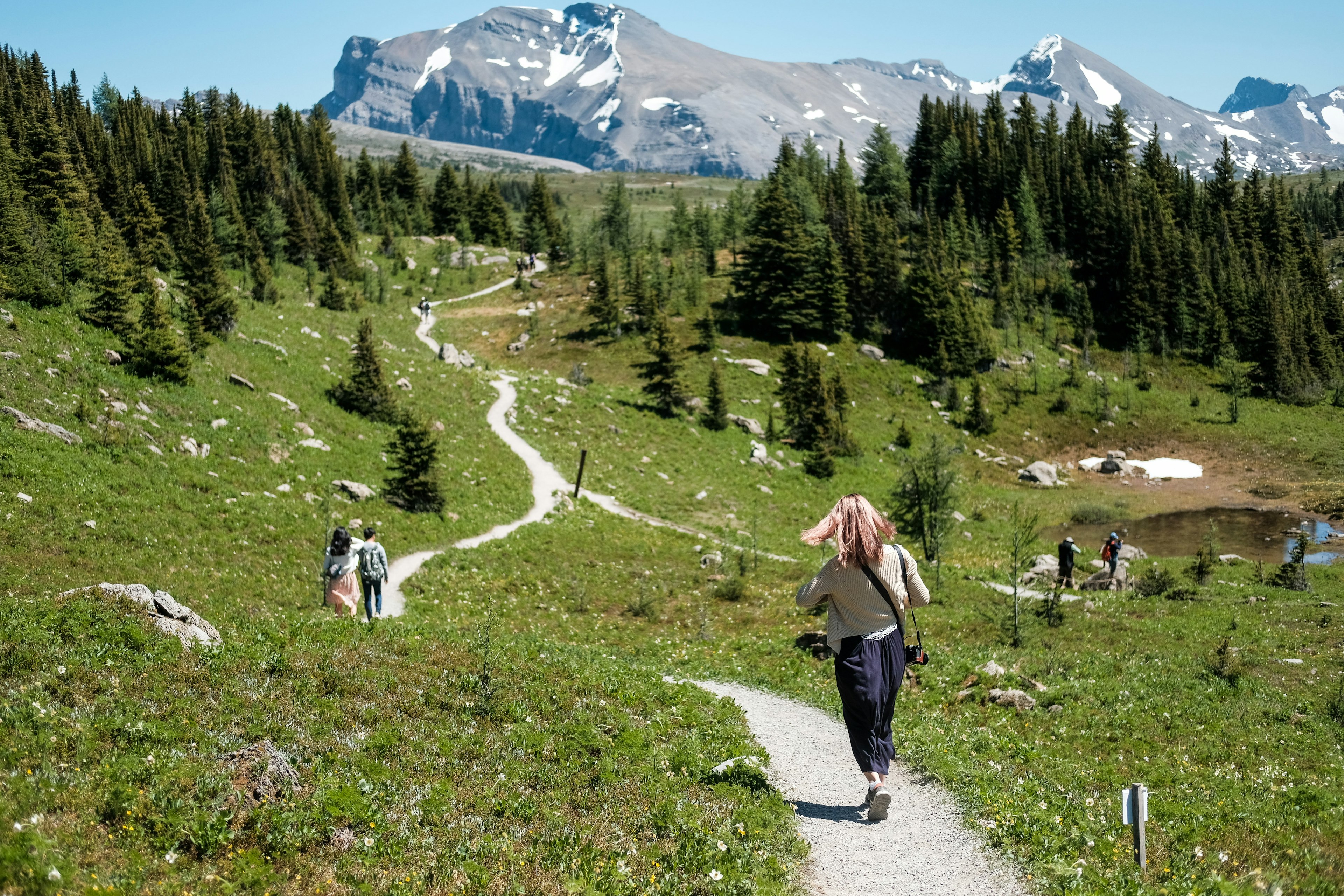 Several people are walking along clearly marked paths through a grassy clearing in a mountainous landscape dotted with evergreen trees