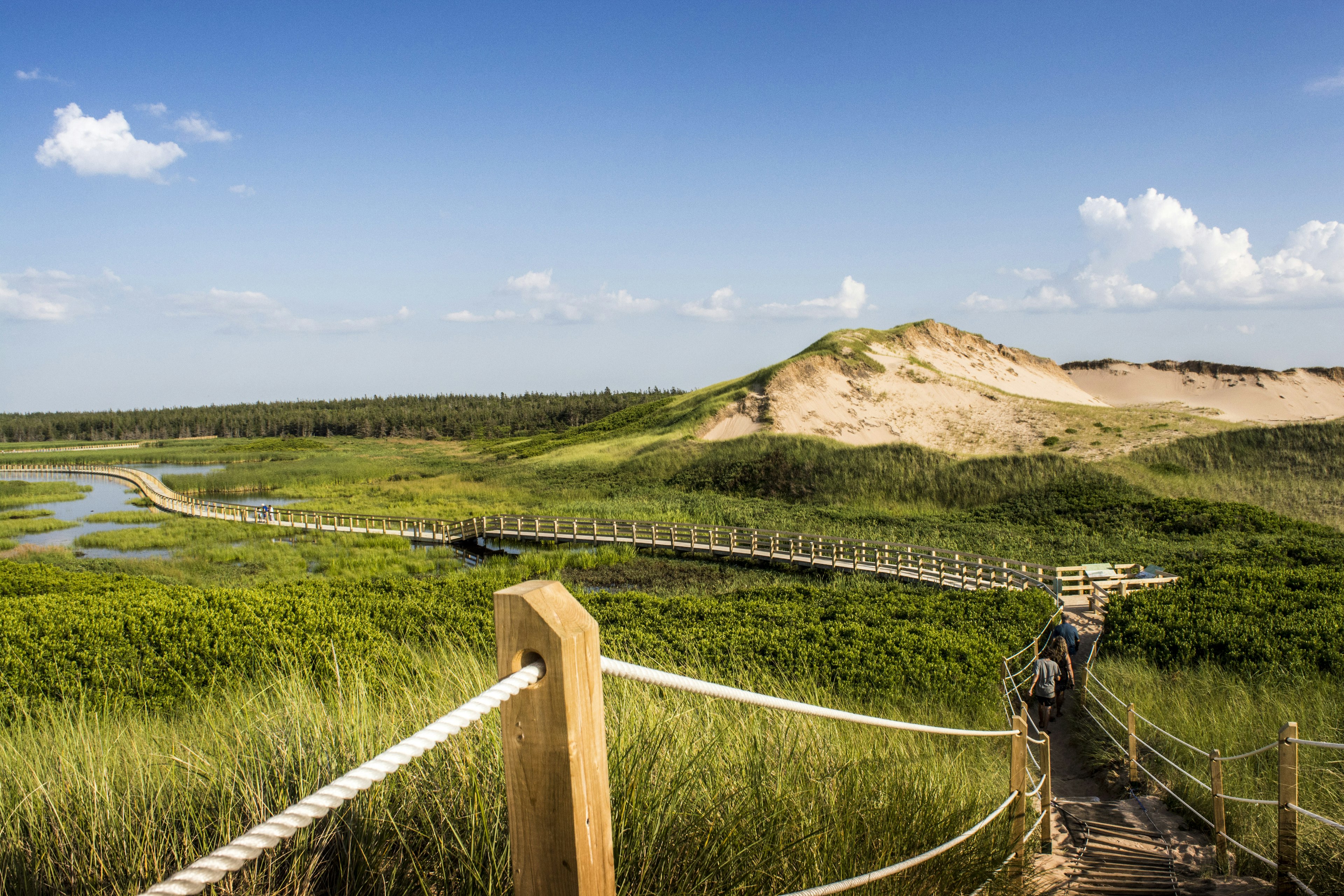 Boardwalk through wetlands and sand dunes at Greenwich, Prince Edward Island National Park.