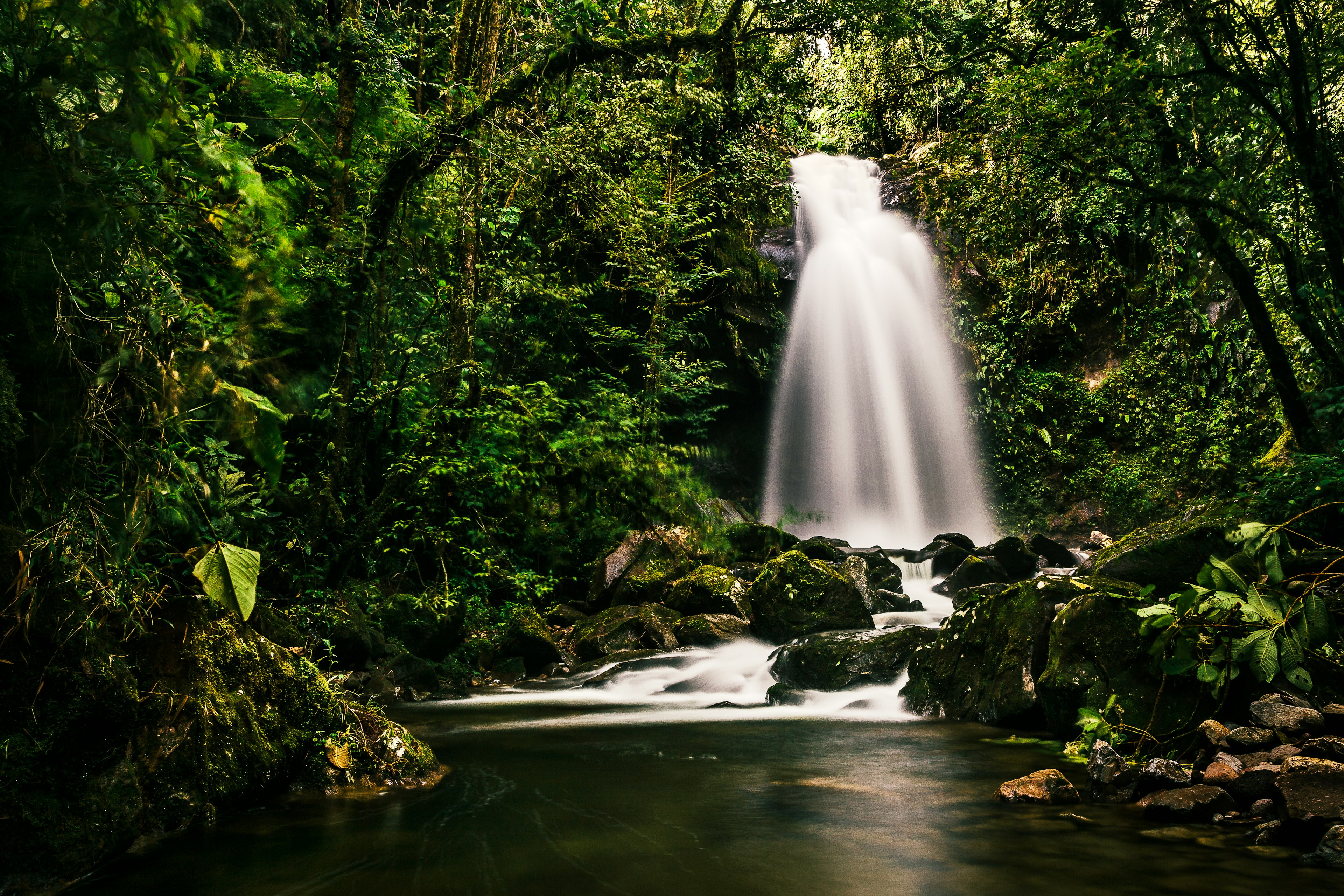 A waterfall in dense jungle cascades into a pool