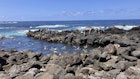 June 2024: São Miguel island in the Azores (Açores) Termas de Ferraria