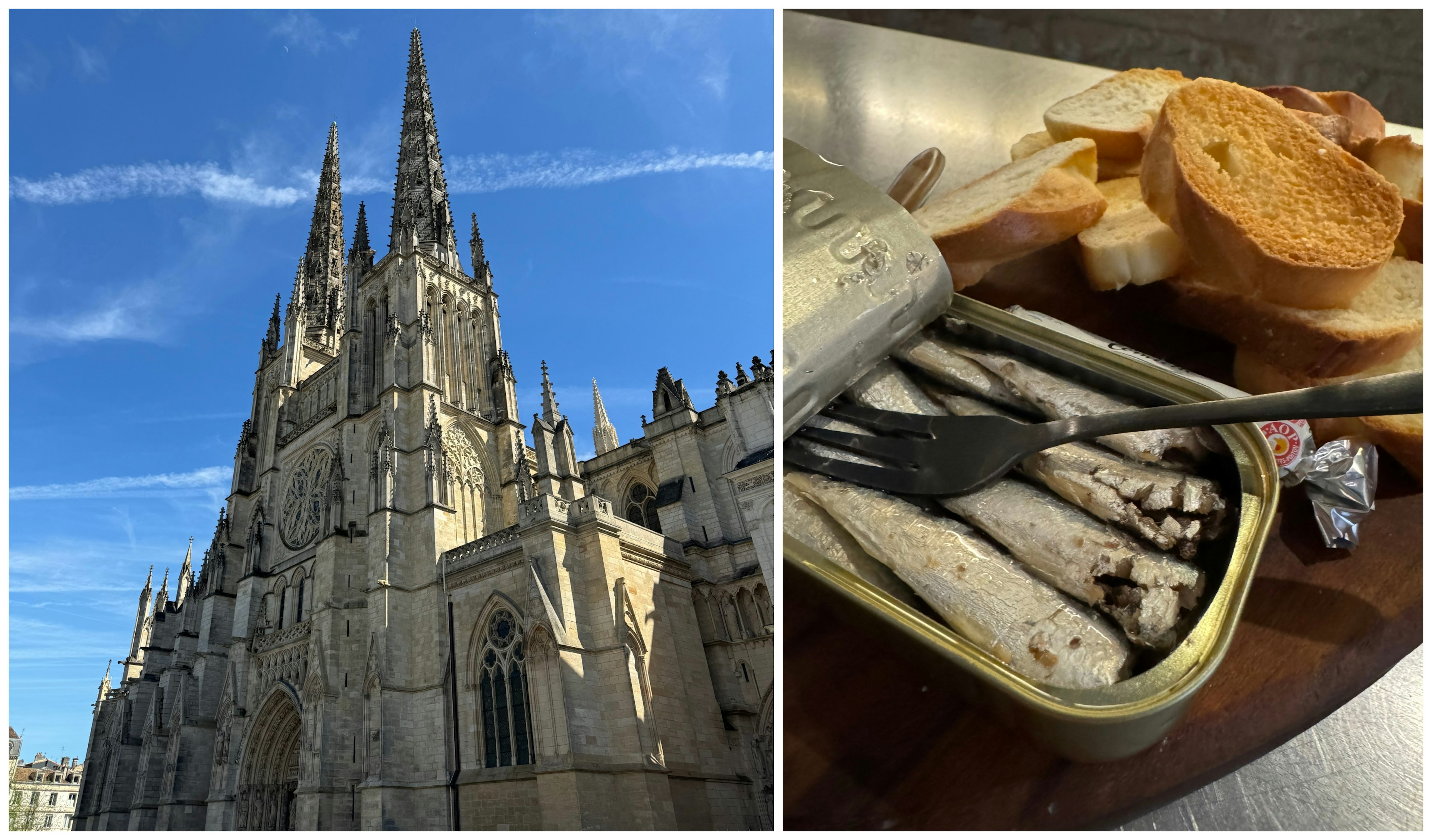 Collage: Saint Andrew Cathedral and tinned fish at Vins Urbains in Bordeaux, France