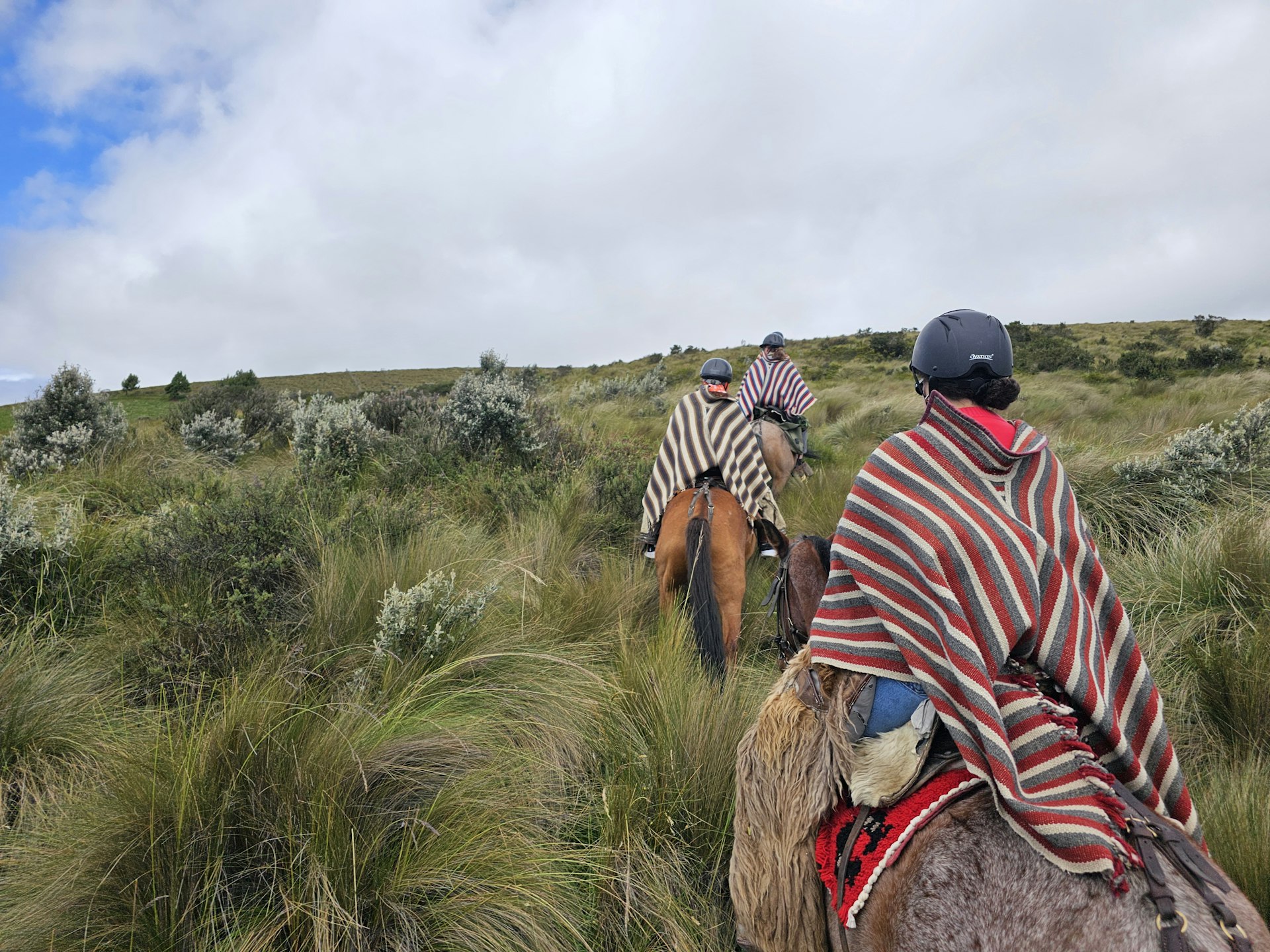 Three horseback riders, all wearing striped ponchos and riding hats, ride through long grass
