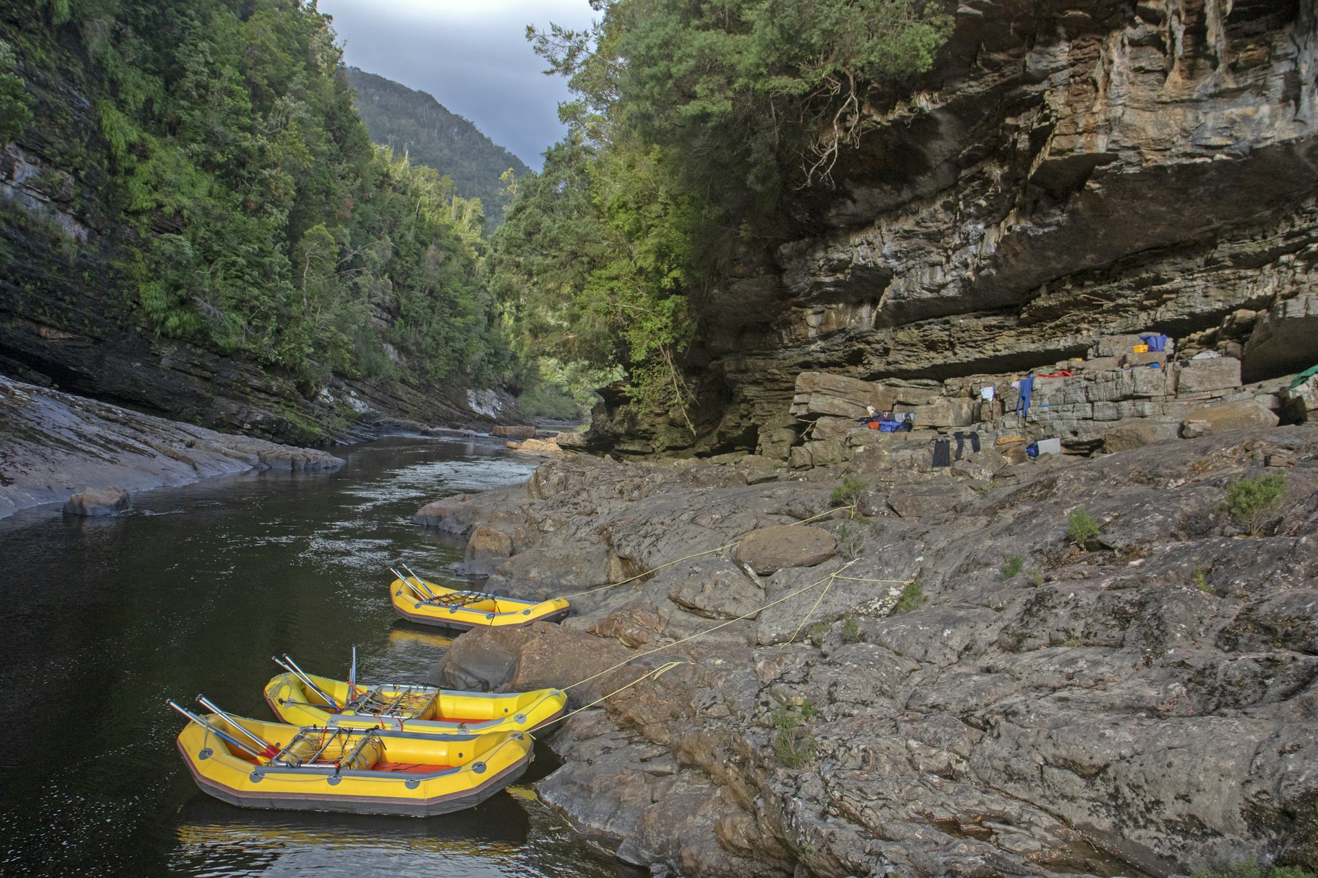 hree rafts tied up beneath the camp site at Newland Cascades on the Franklin River