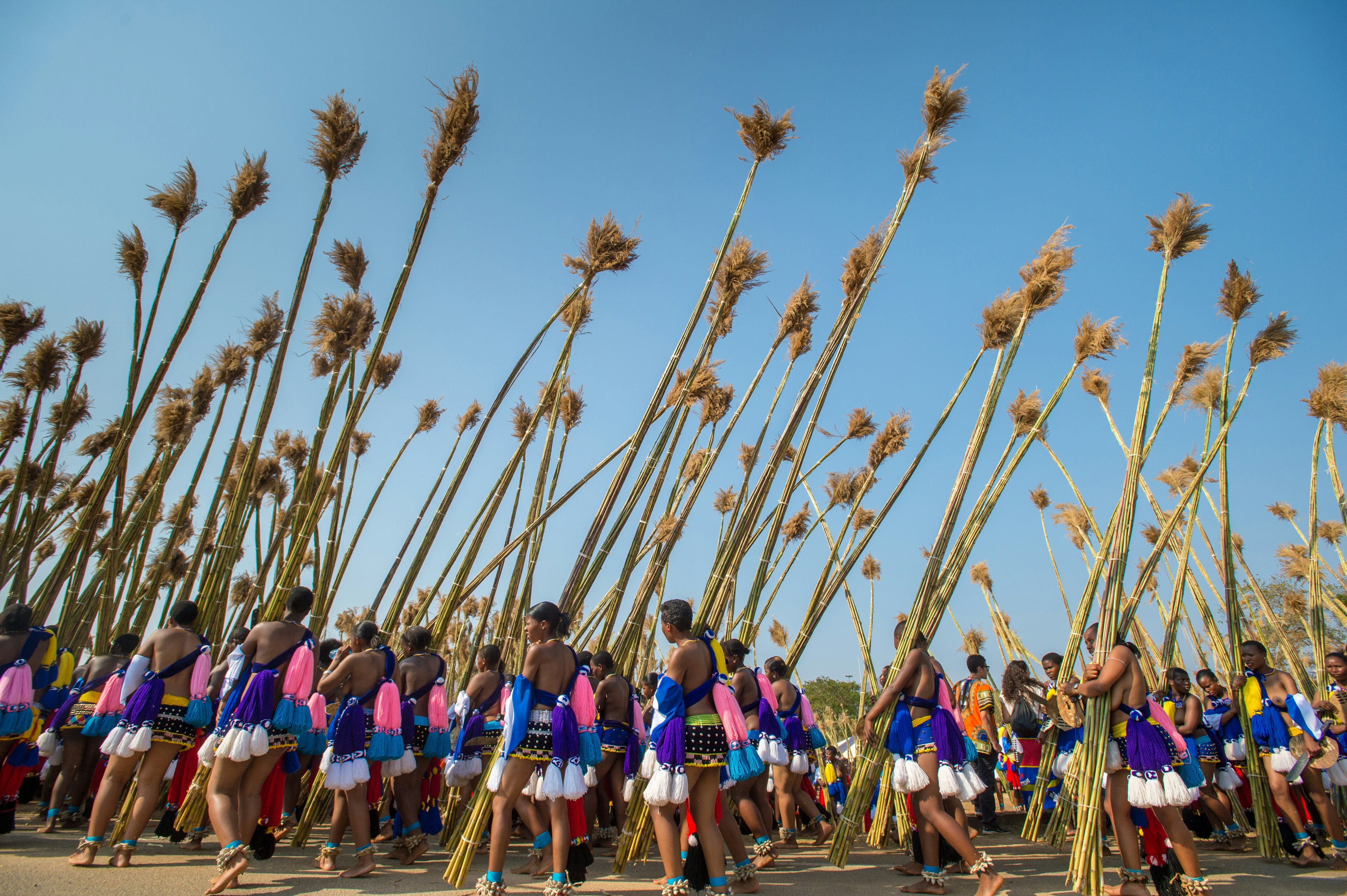 Reed dance in eSwatini