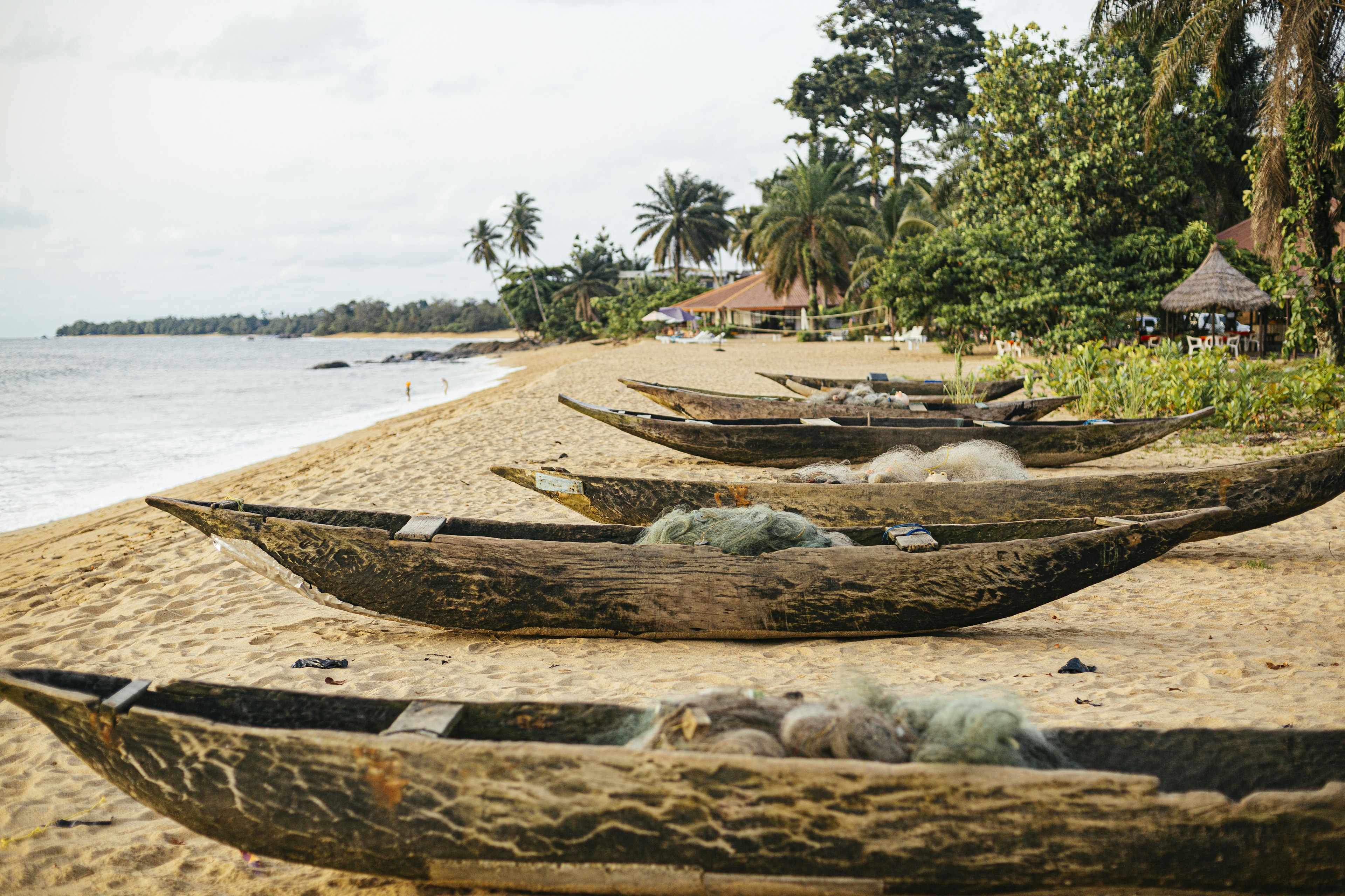 Wooden canoes rest in a line on a sandy deserted beach