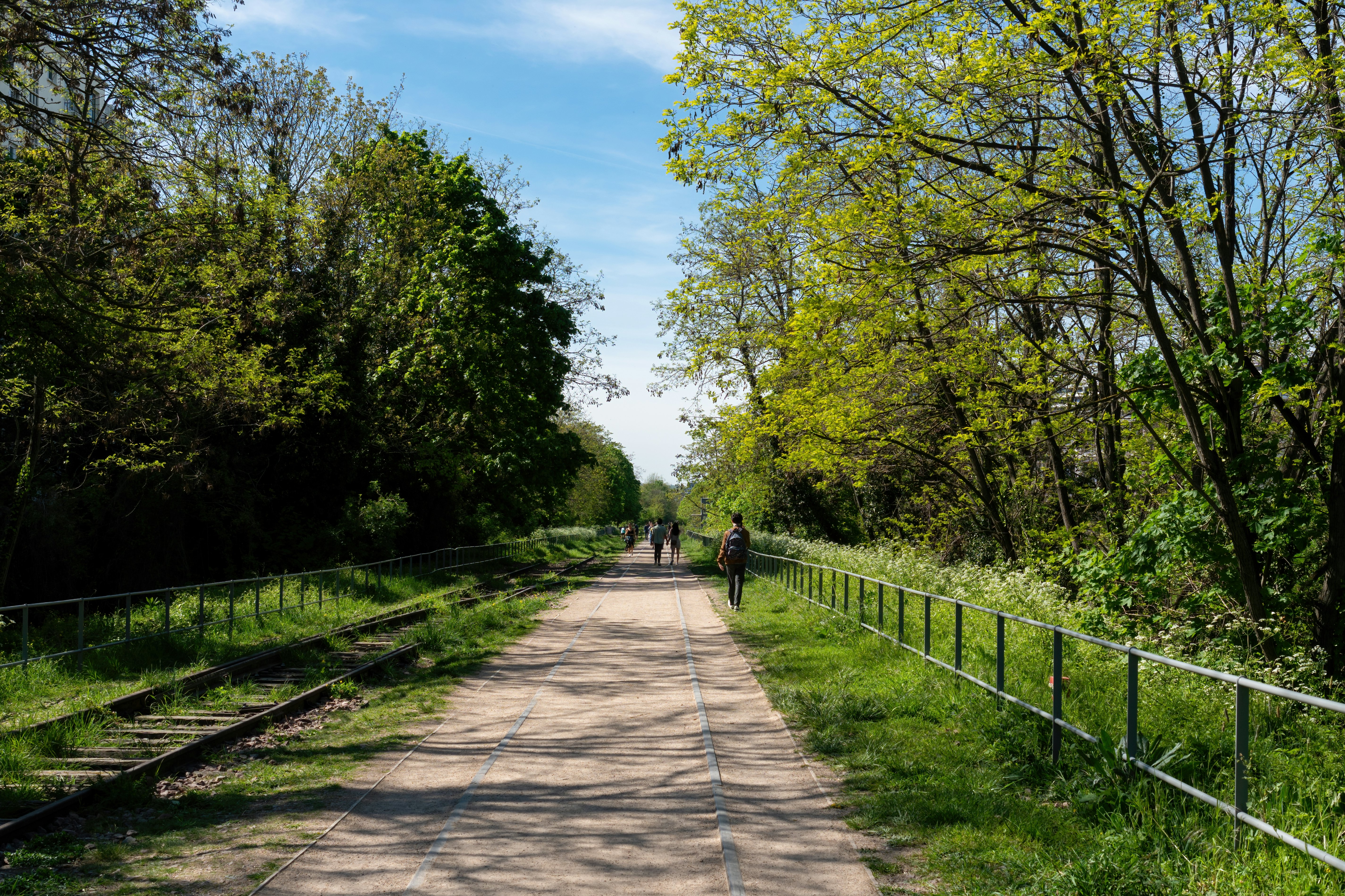 People walking on a path alongside a disused railway track, which is lined by trees and bushes.