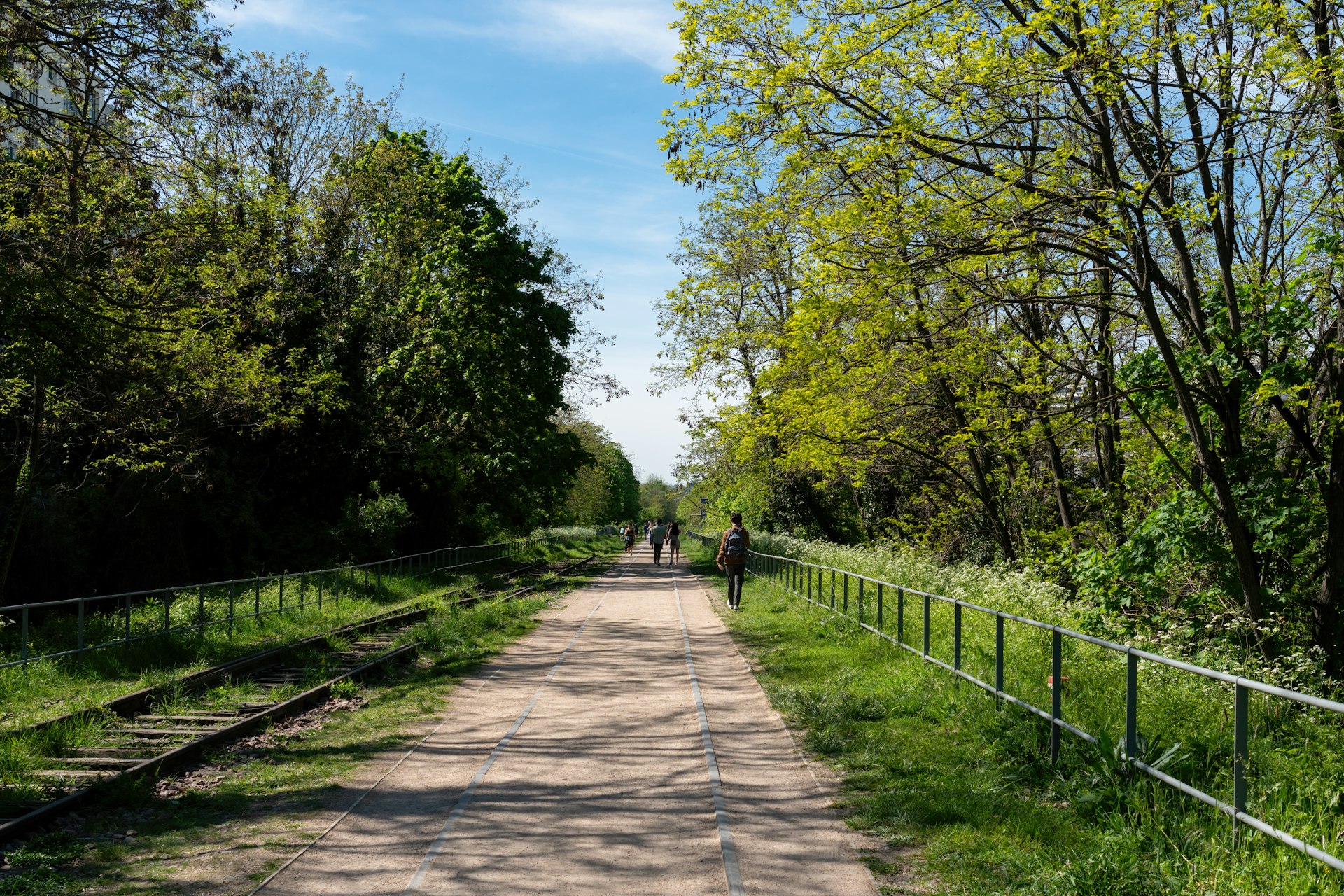 People walking on a path alongside a disused railway track, which is lined by trees and bushes.
