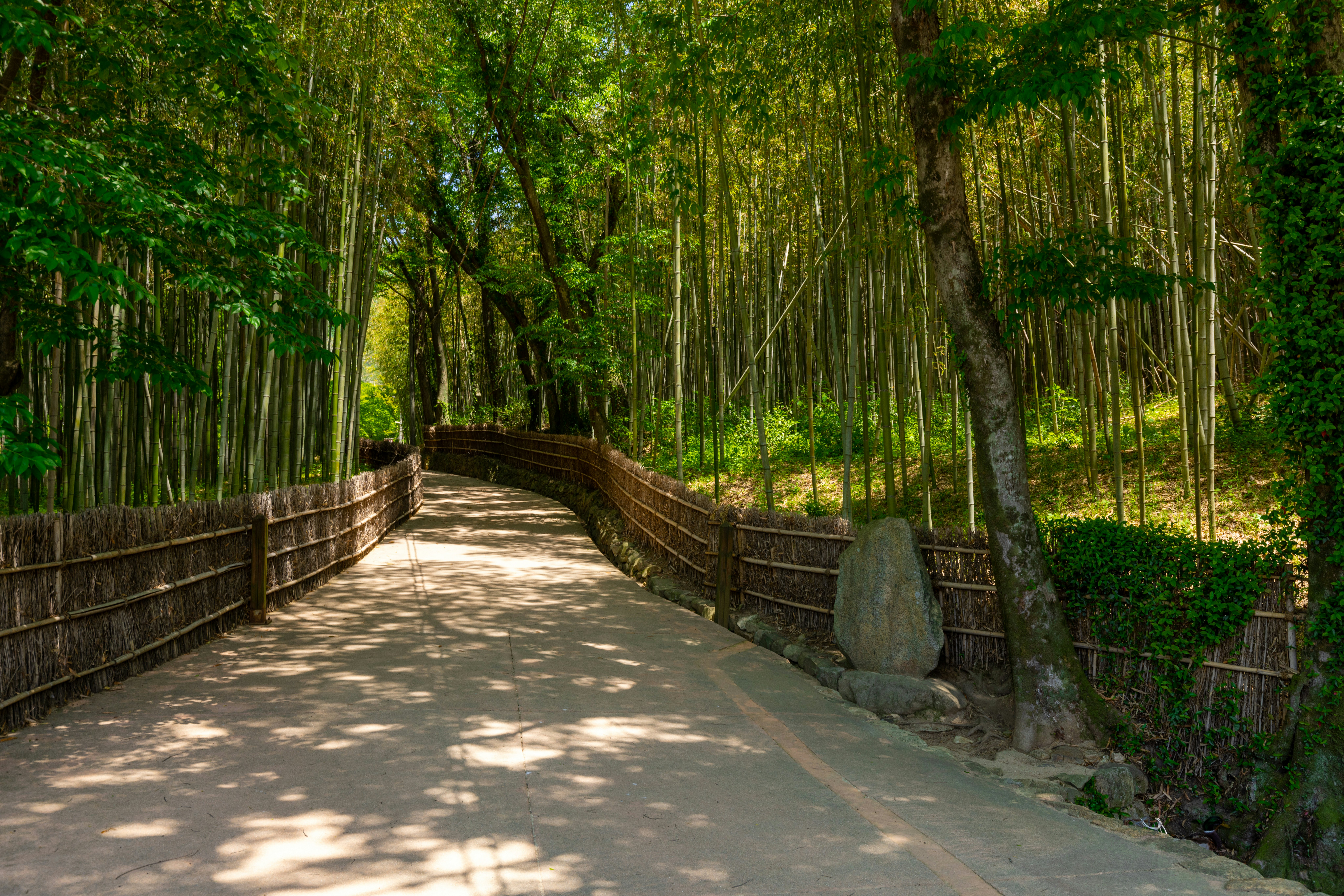 The scenery of Damyang Juknokwon
1660993518
죽녹원
The scenery of Damyang Juknokwon