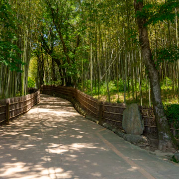 The scenery of Damyang Juknokwon
1660993518
죽녹원
The scenery of Damyang Juknokwon