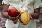 A woman in Ecuador shows a cacao pod.