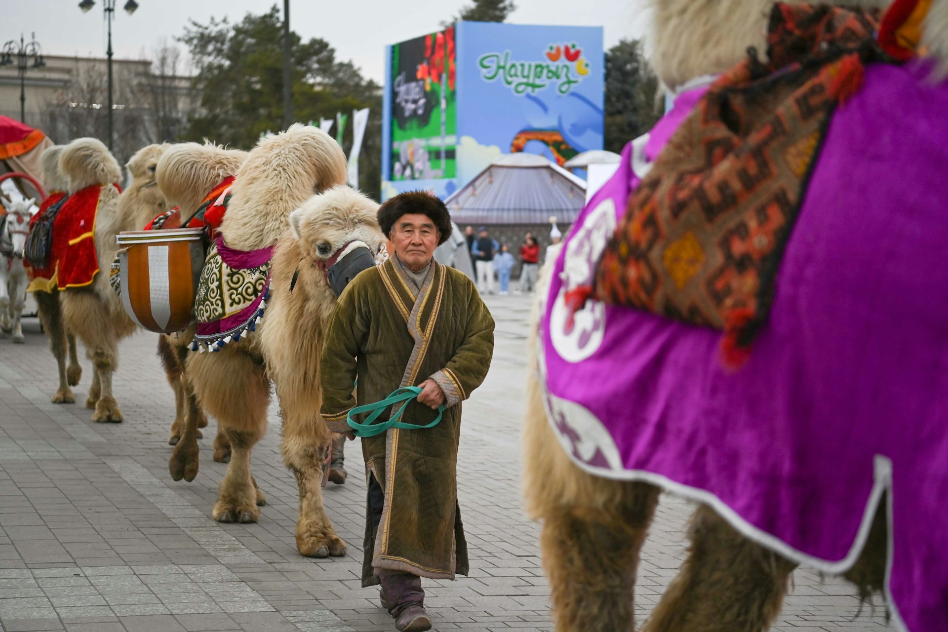 A man leads a camel as part of a Nauryz celebration, Almaty, Kazakhstan