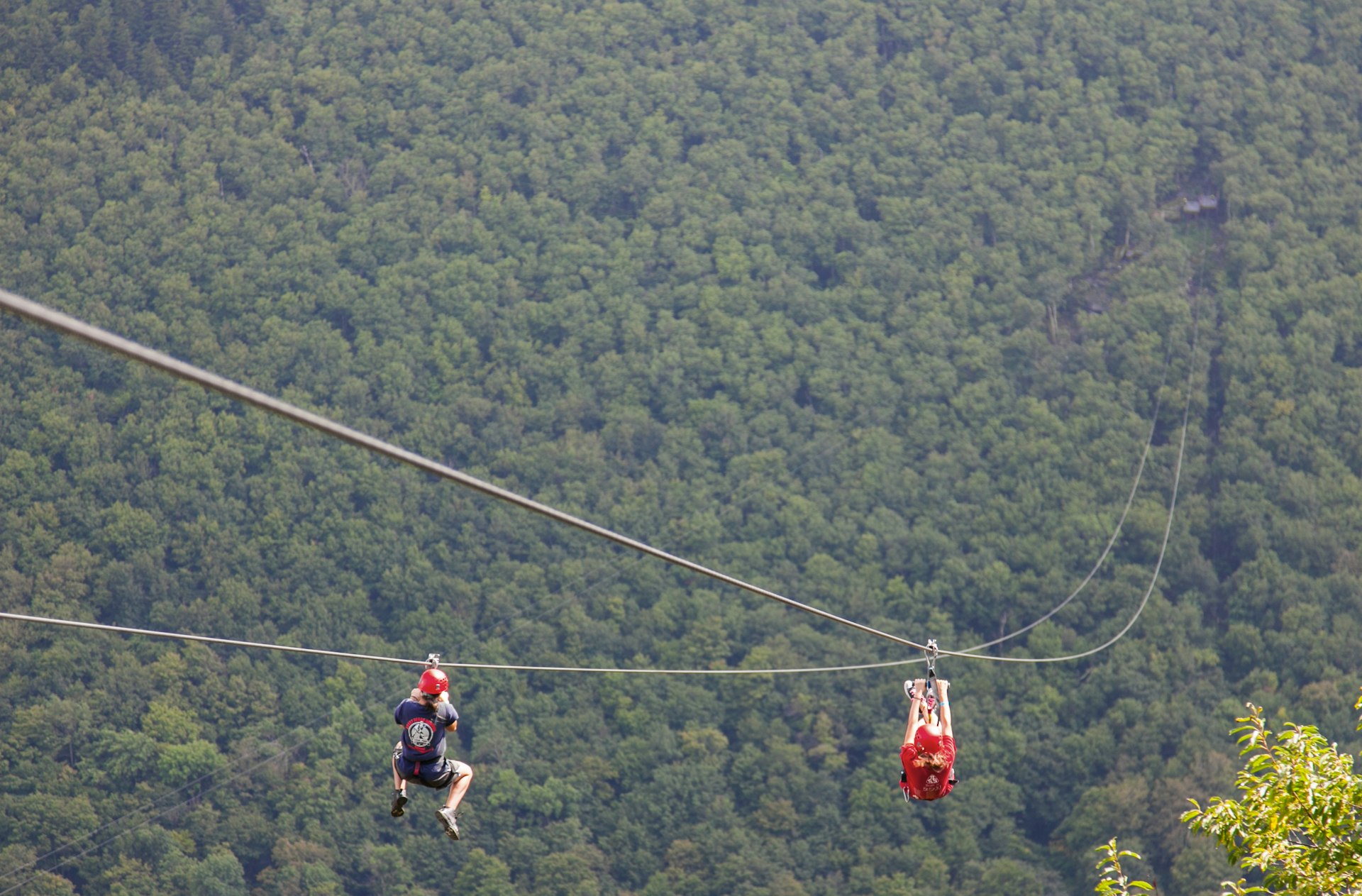 Visitors zip lining in the Catskill mountains at the Hunter Mountain Ski Resort.