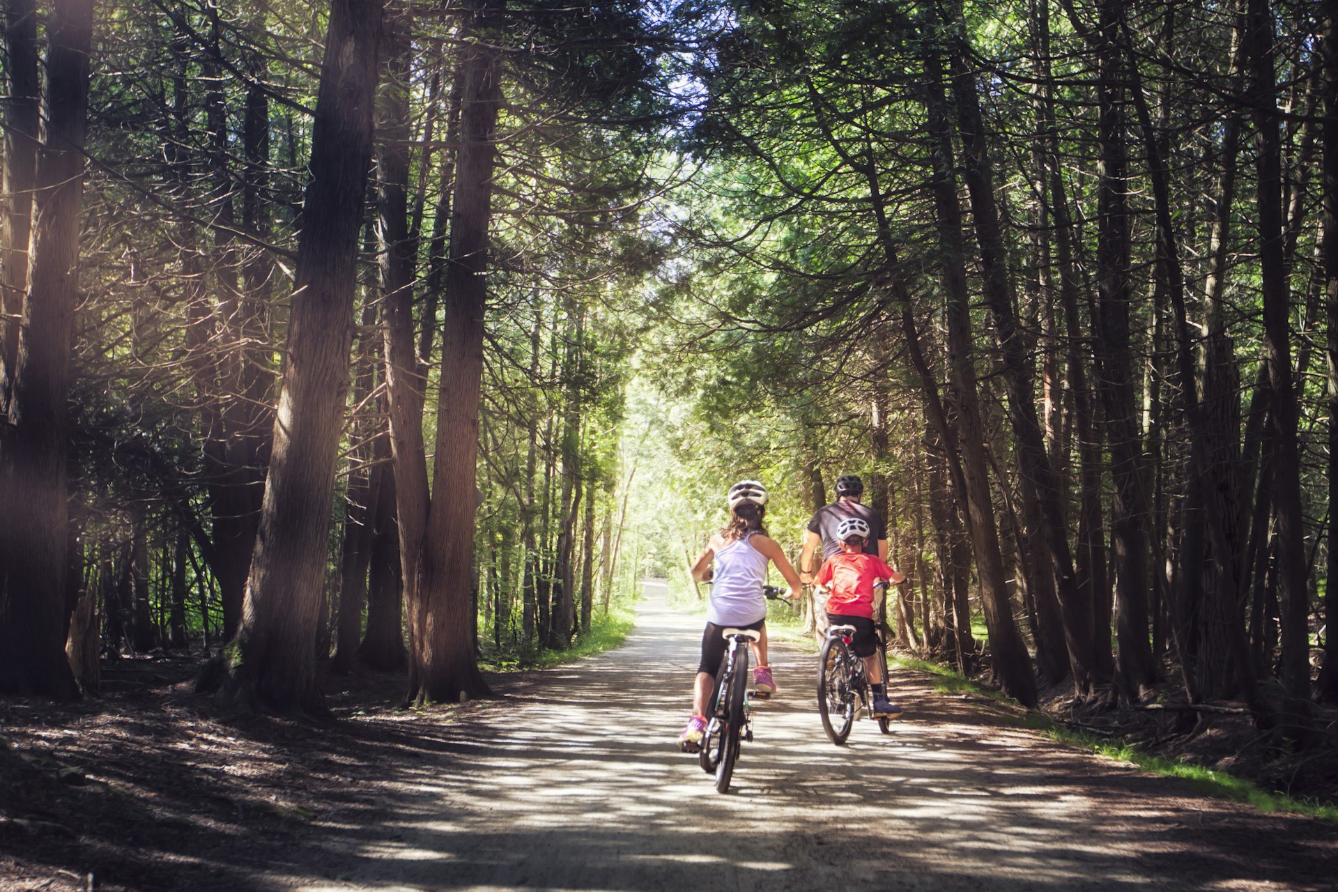 Two children and an adult cycle down a woodland trail