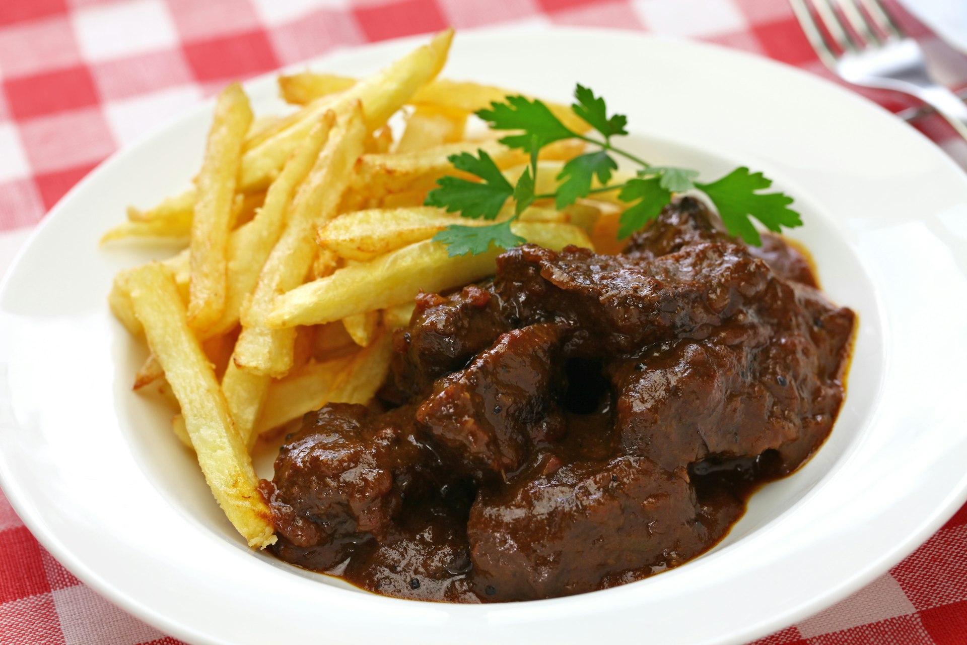 A plate of beef stew and fries on a checked red and white table cloth