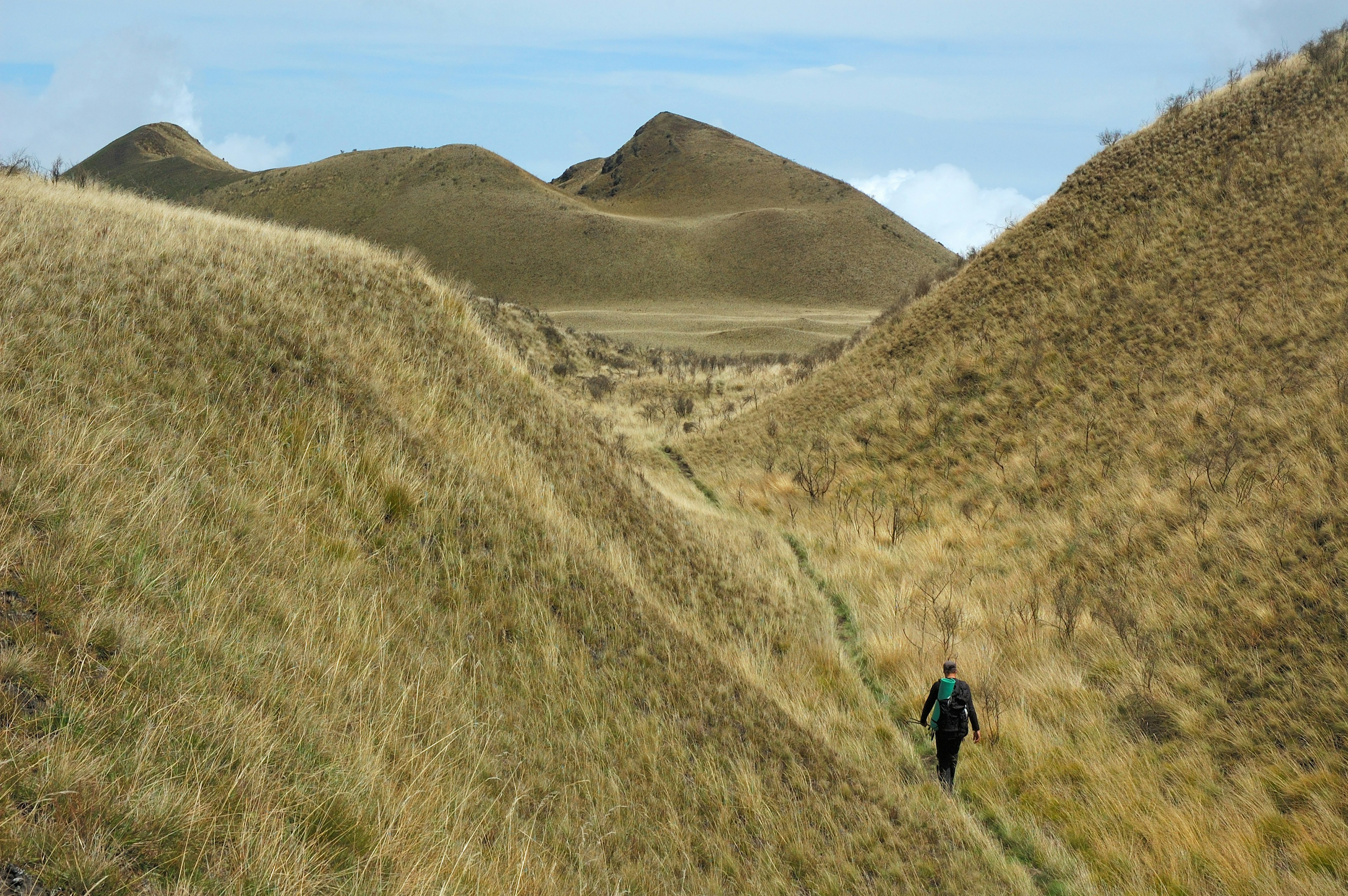 A person hiking towards the peak of Mt Cameroon, Cameroon