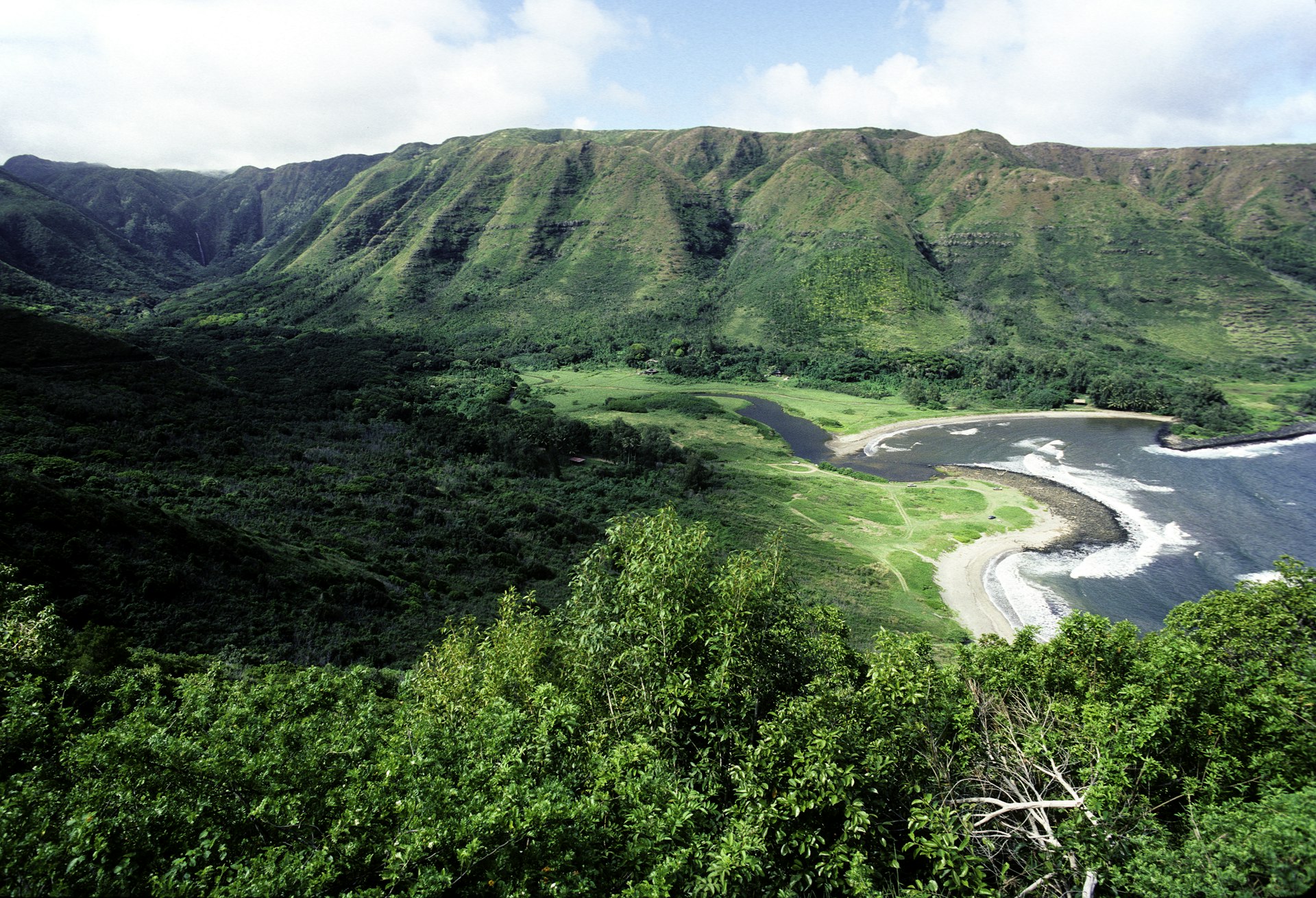 Aerial view of a green, forest-covered valley along the coast, Molokai