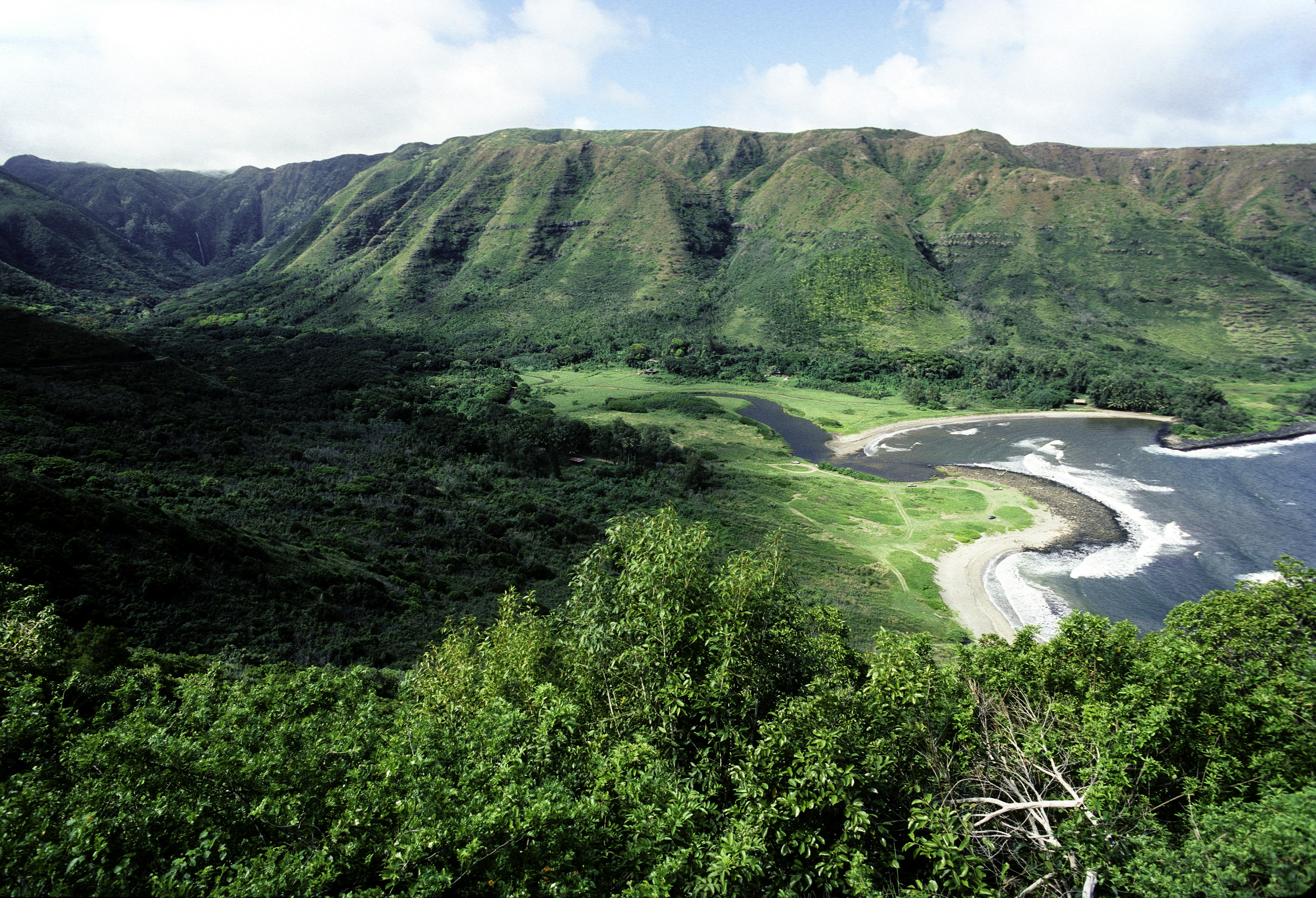 Aerial view of a green, forest-covered valley along the coast, Molokai