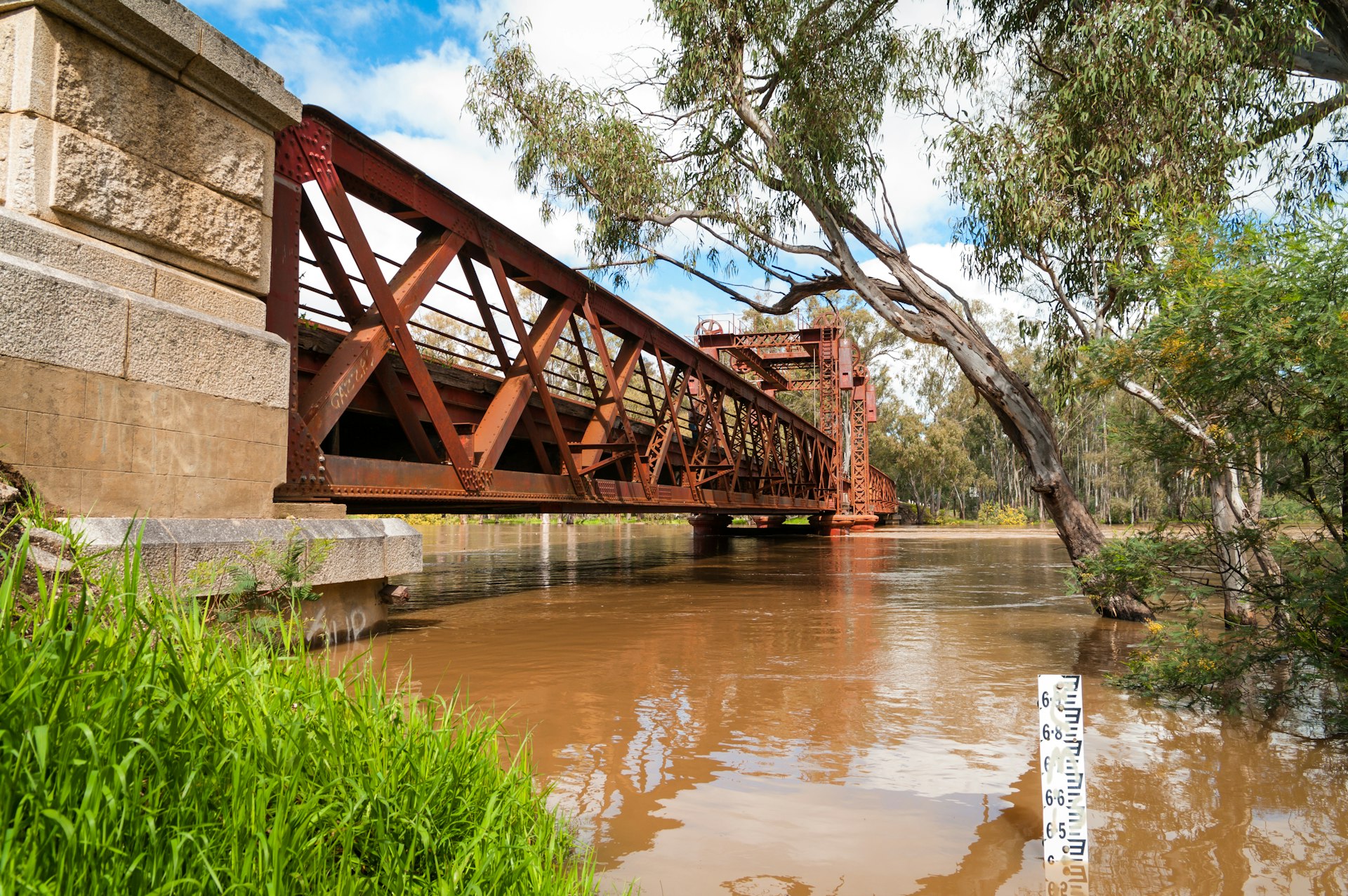 Murray River in flood at Tocumwal, Australia