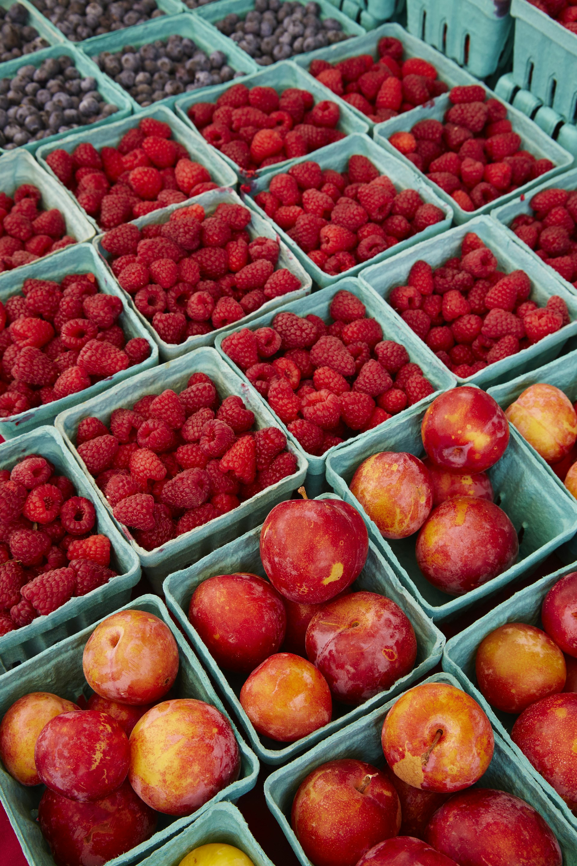 Raspberries, plums and blueberries at fresh produce stand in the Catskills