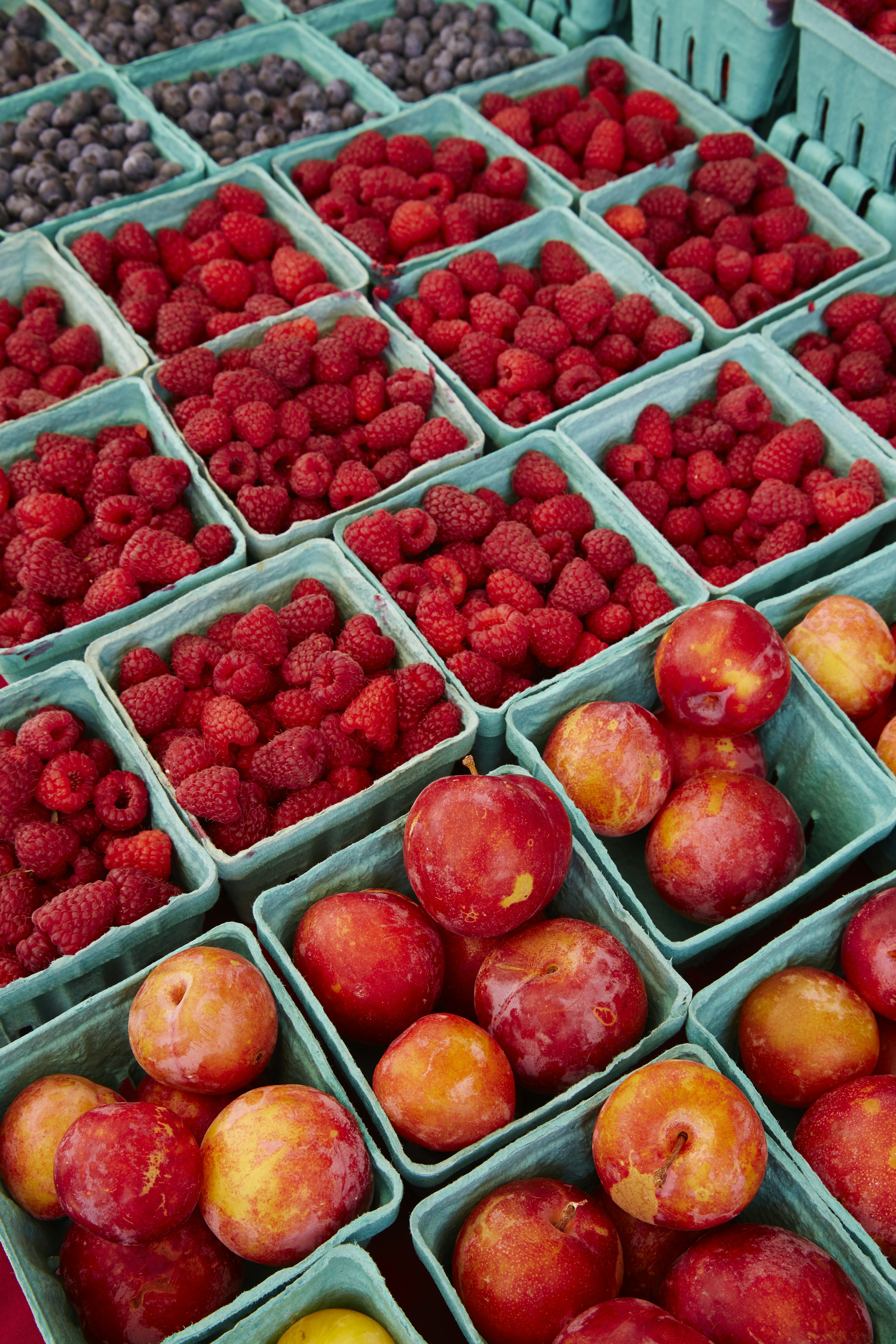 Raspberries, plums and blueberries at fresh produce stand in the Catskills