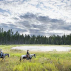 Glacier National Park, Montana, USA, United States, America, North America, landscape, Glacier National Park Montana USA United States America North America landscape
Horse riding, Glacier National Park, Montana, USA